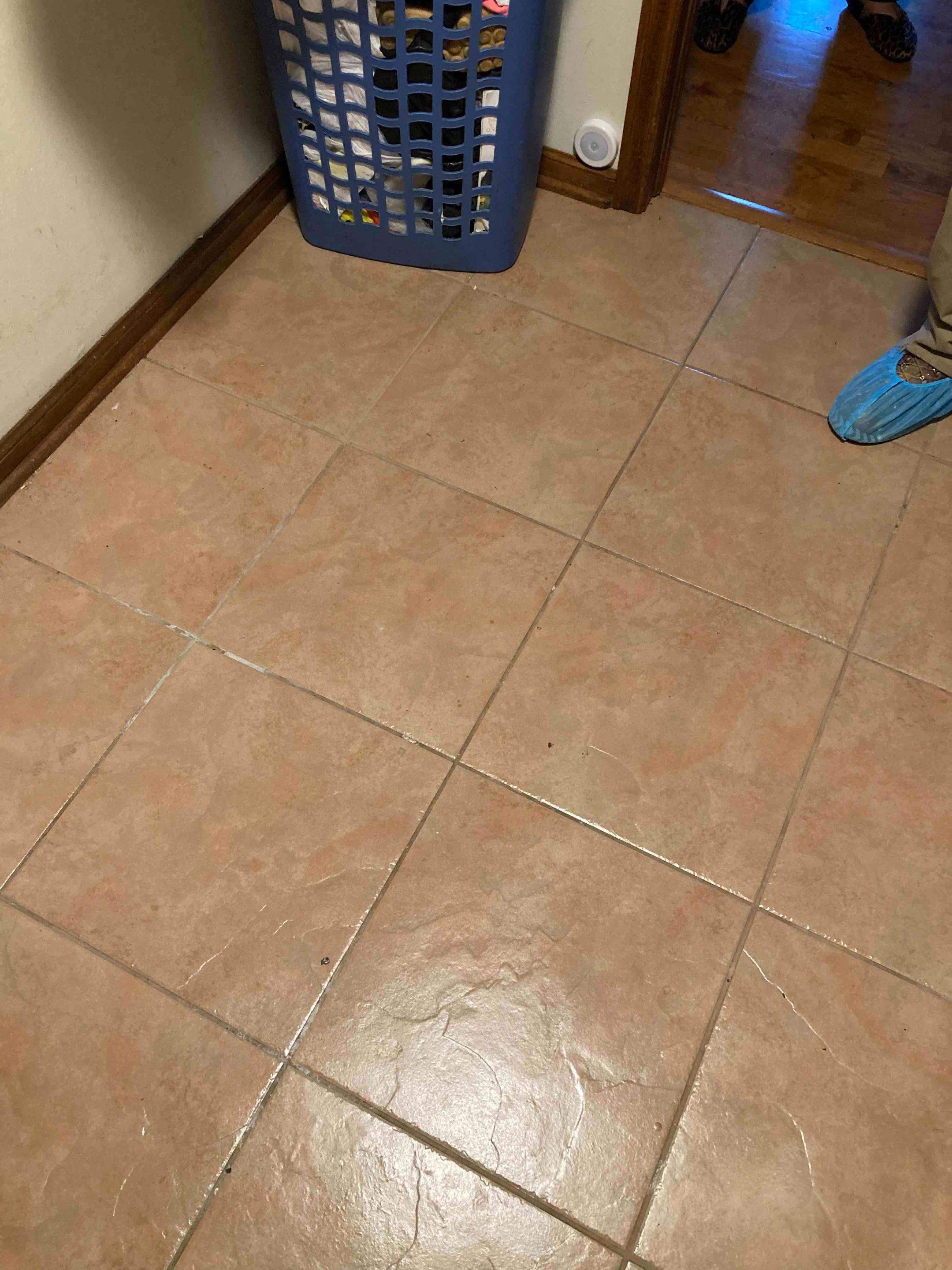 Mold Remediation using Containment by Accountable Home Services