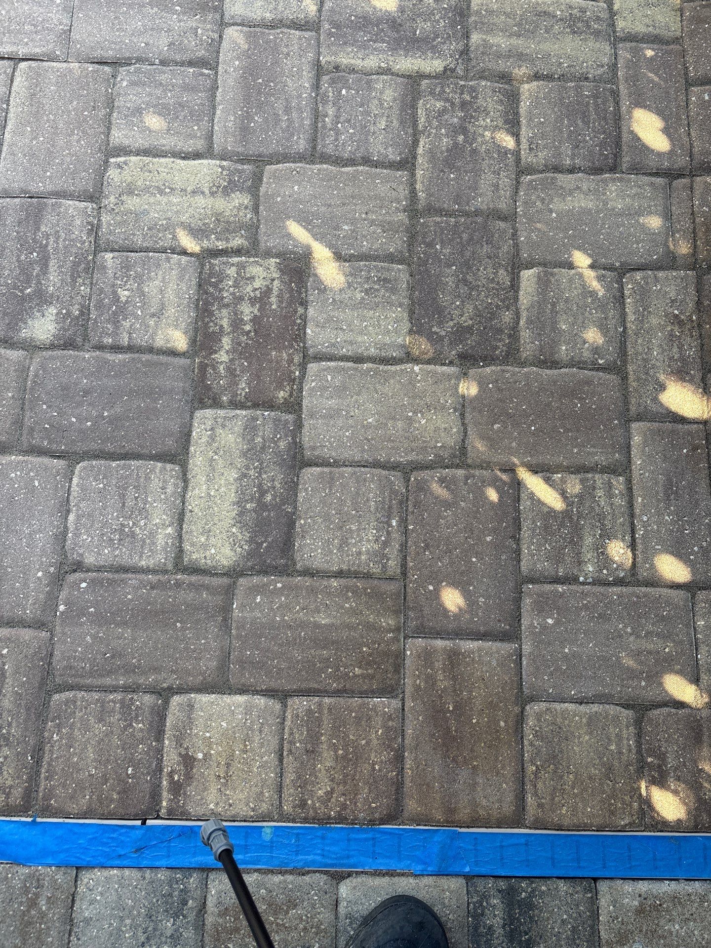 Pool Pavers using TopSeal and PolySand by DuraSeal