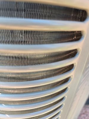 Project in Cold Spring