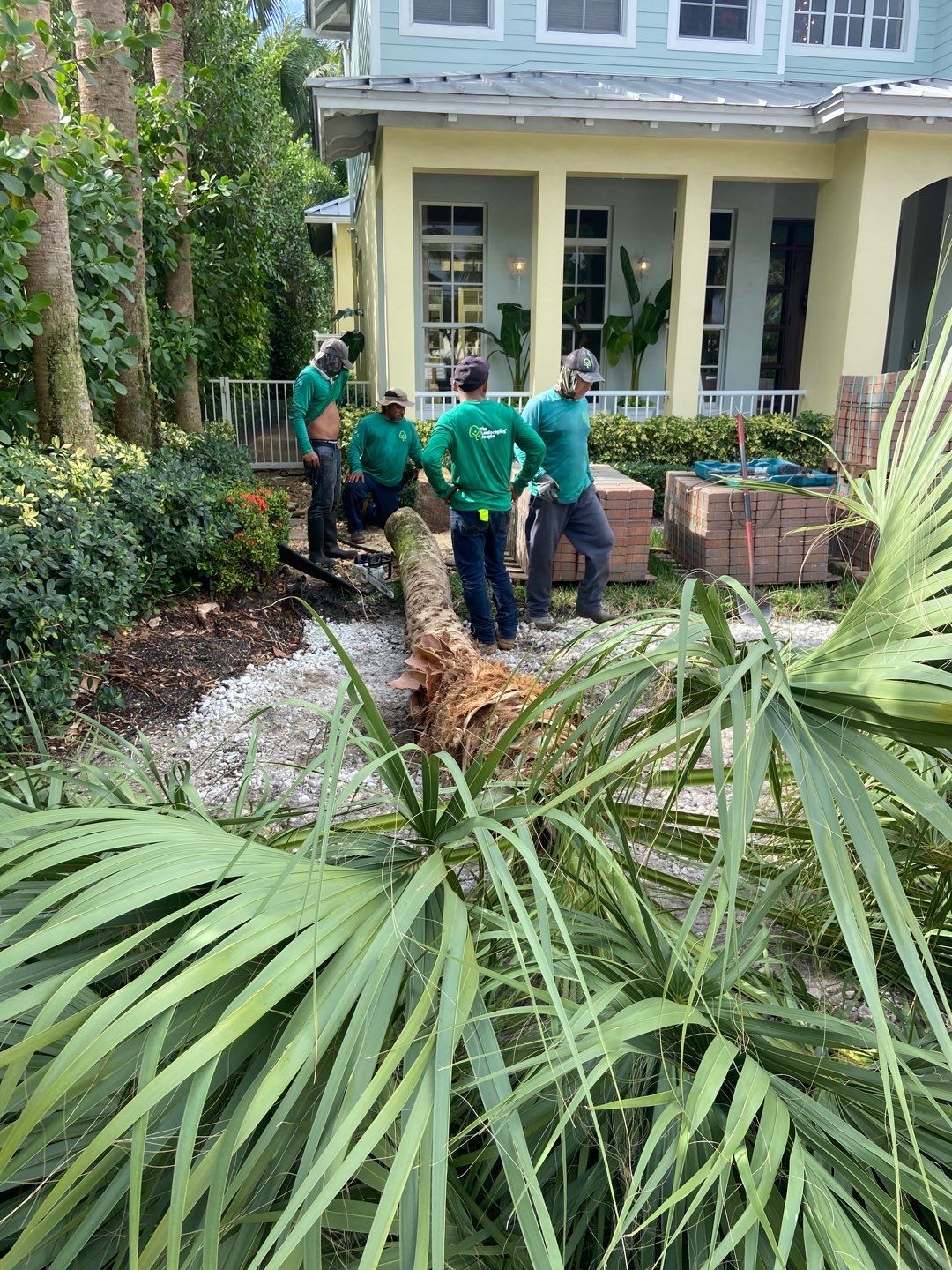 Hazard  by The Landscaping People