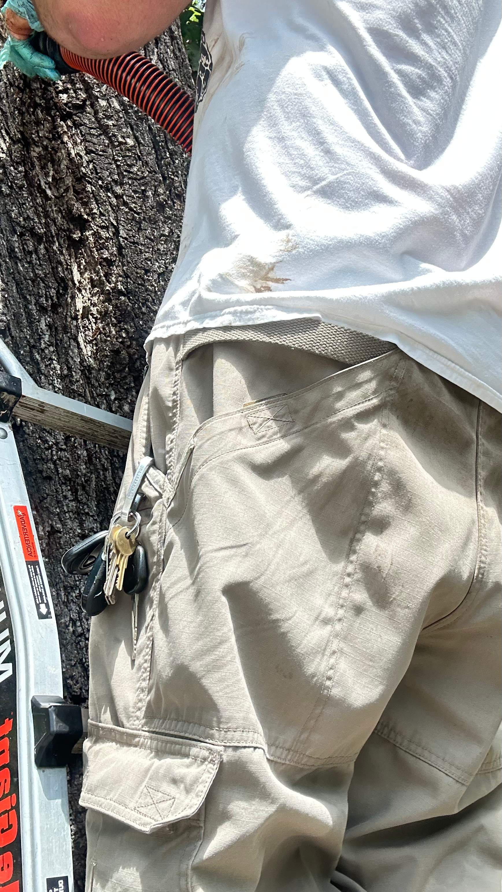 Tight Squeeze by Rockwall Honey Bee Company