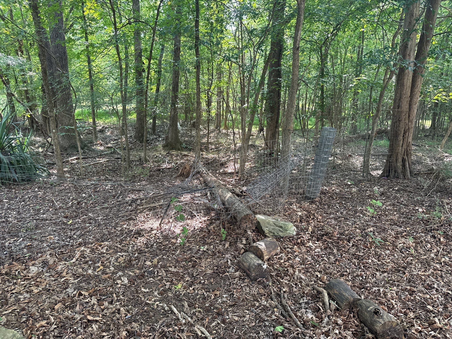 Project in Mint Hill by Badger Hauling