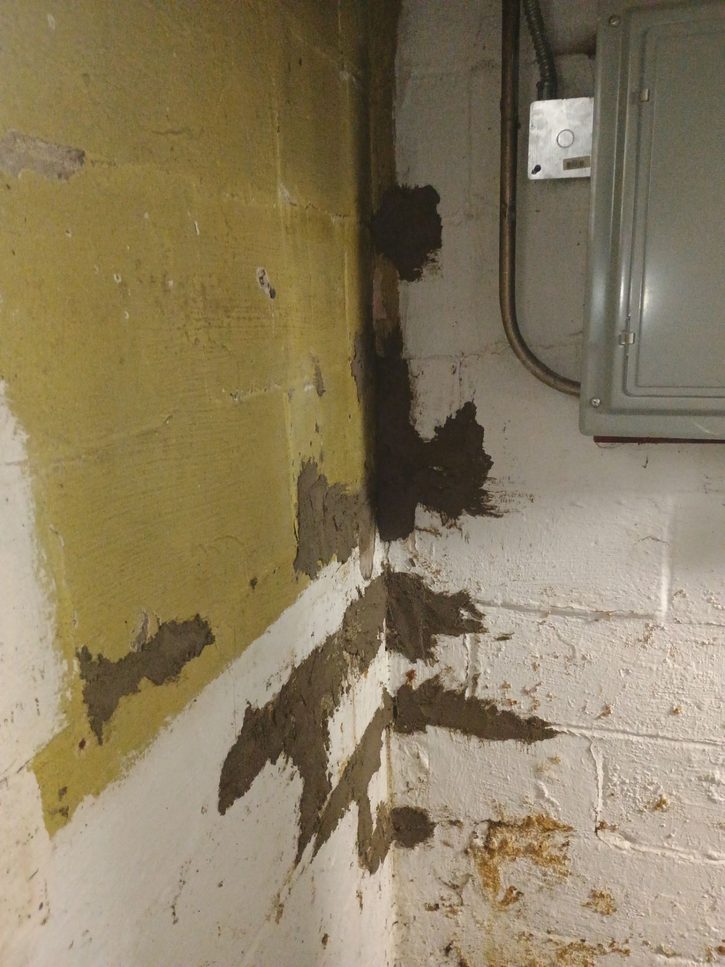 Interior Drain Tile & Yard French Drain in St. Paul, MN by Waterproofing Northeast