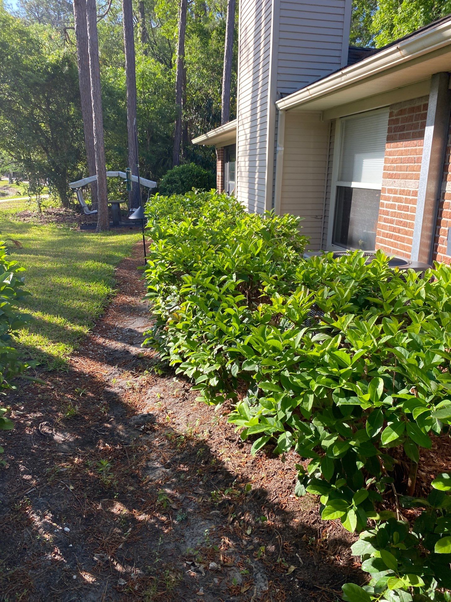 Residential | Volunteer Clean-Up by ProGreen Services