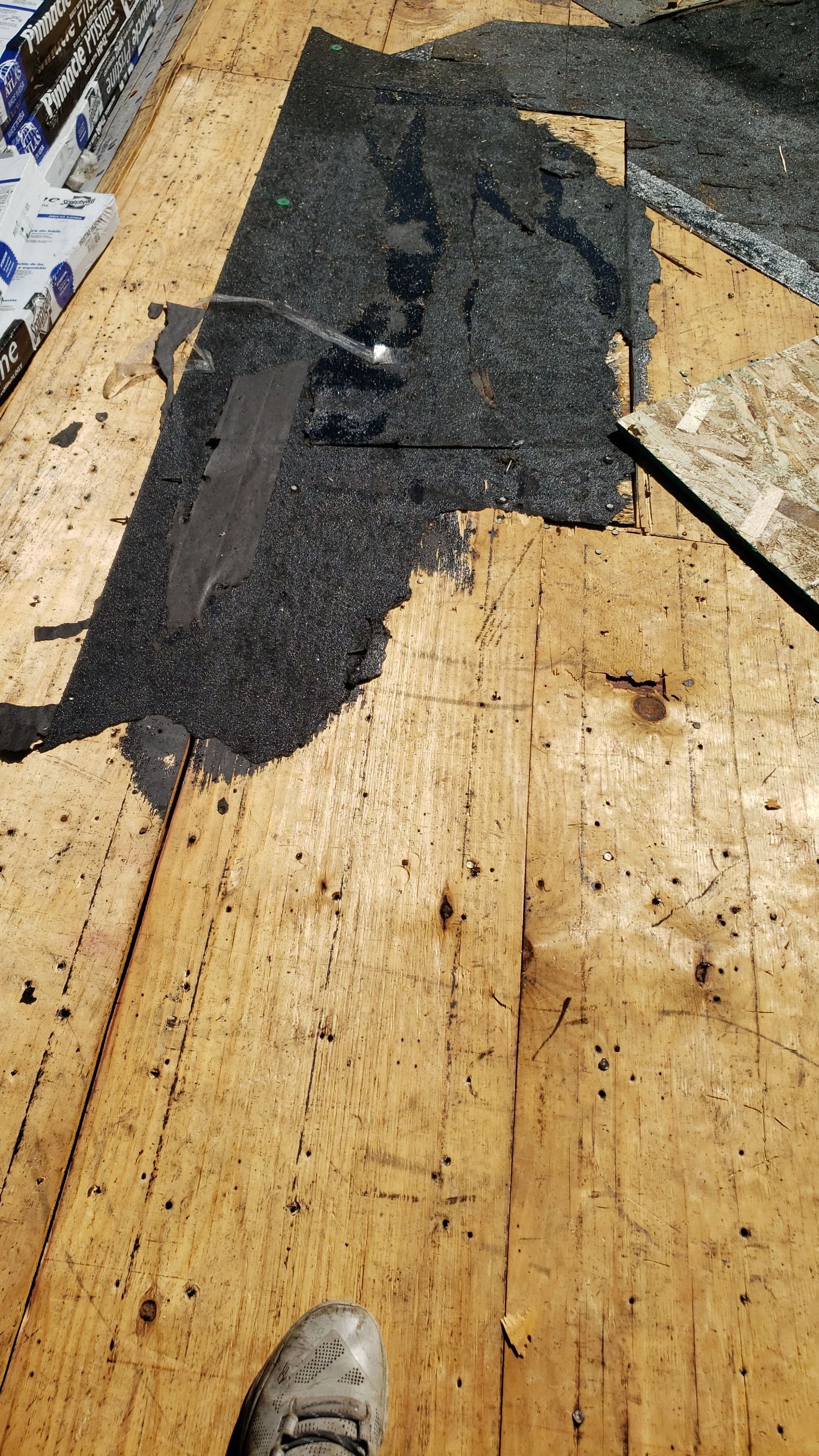 ATLAS PINNACLE COLOR: PRISTINE HEATHER DRIP EDGE: MUSKET BROWN by Eagle Eye Roofing