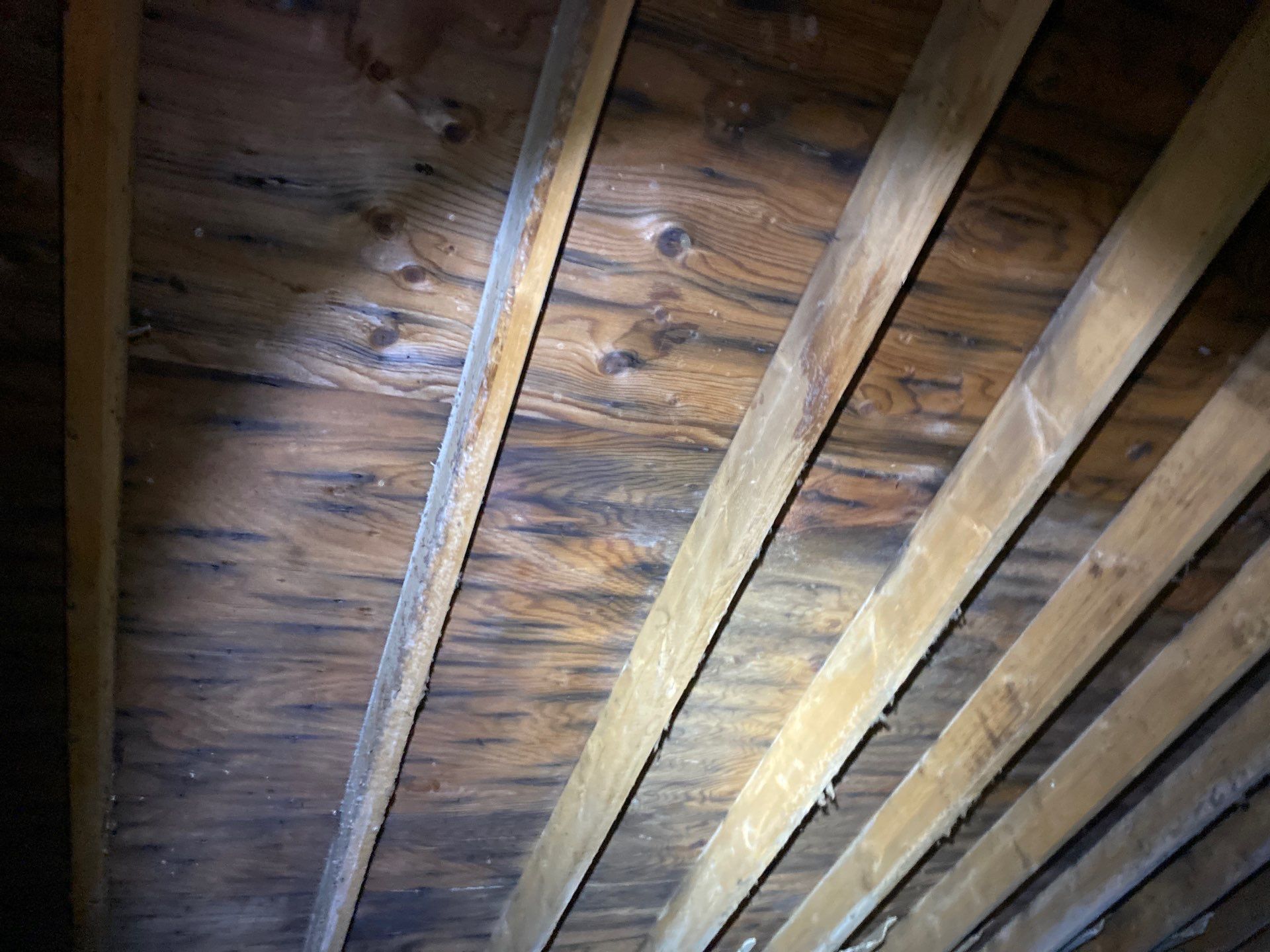 Roofing | Northborough by Mighty Dog Roofing of Greater Middlesex County