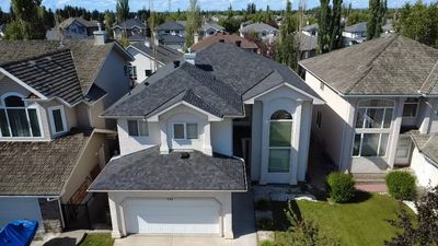 Black Oak on Malarkey Vista