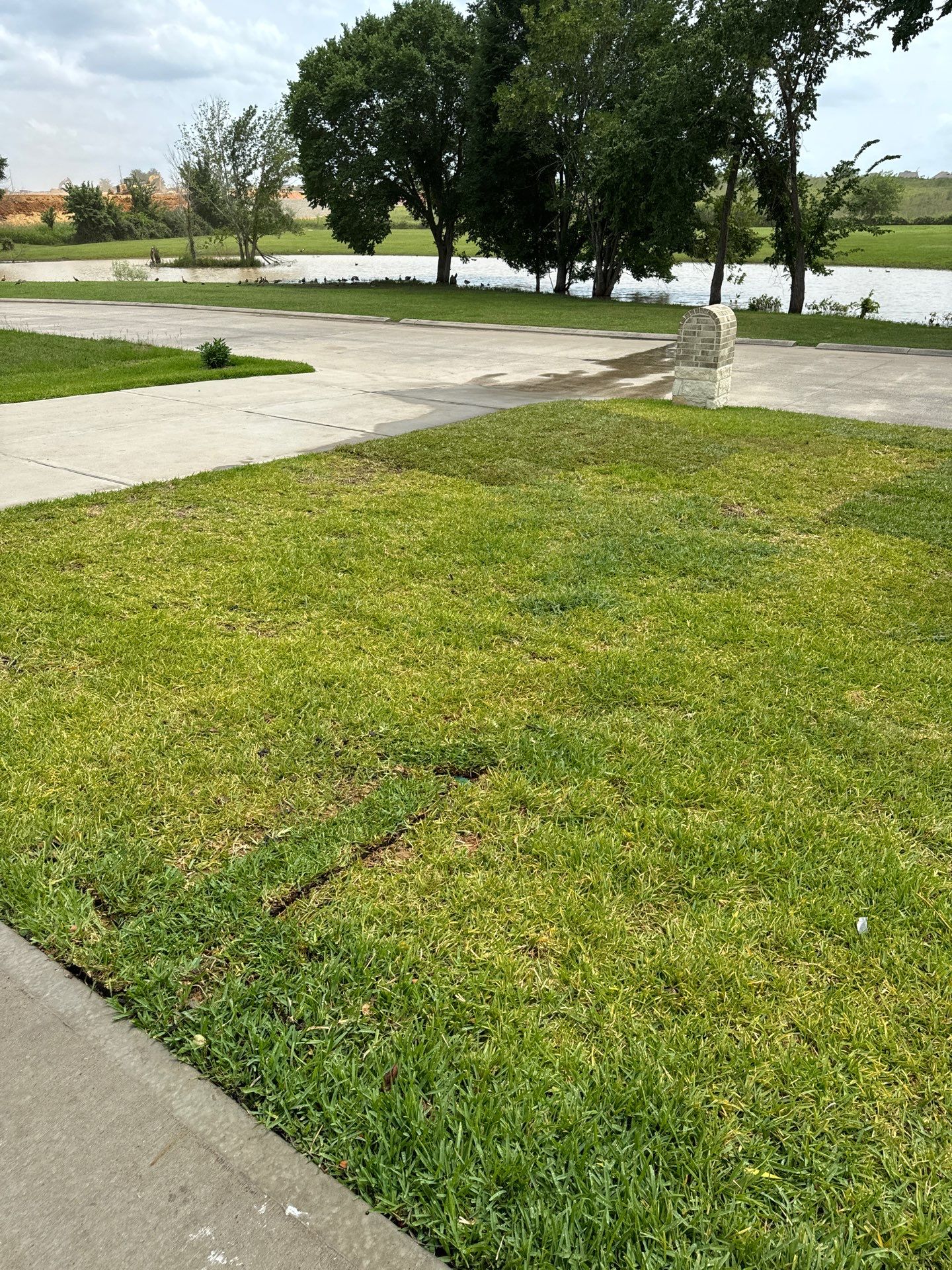 🌟 Mr. & Mrs. Wheeler’s Drainage & Landscape Transformation by Texas Urban Elements