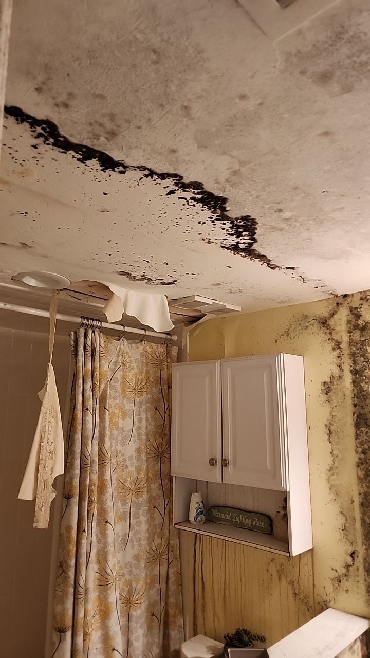 Damage caused from leaking water hea  er by Building performance Solutions LLC