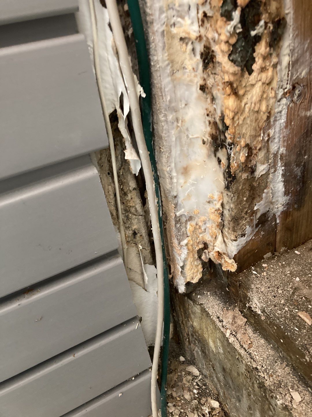 Mold Remediation using Containment by Accountable Home Services