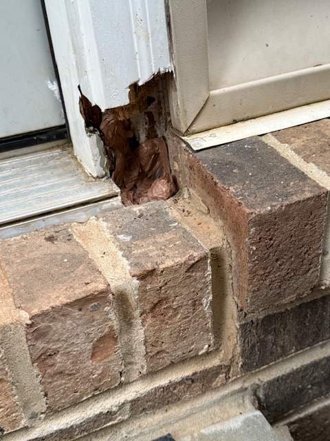 Rotten Door Replaced! ✨ by A Step Above Handy LLC