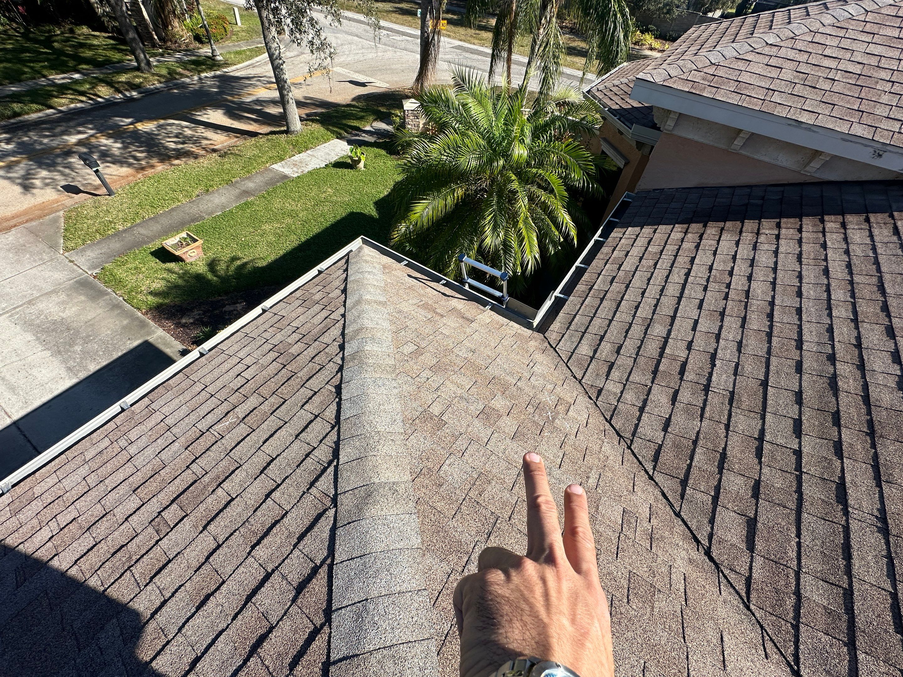 Roof Damage Claim in Palm Harbor by FLAPA & KeyStone