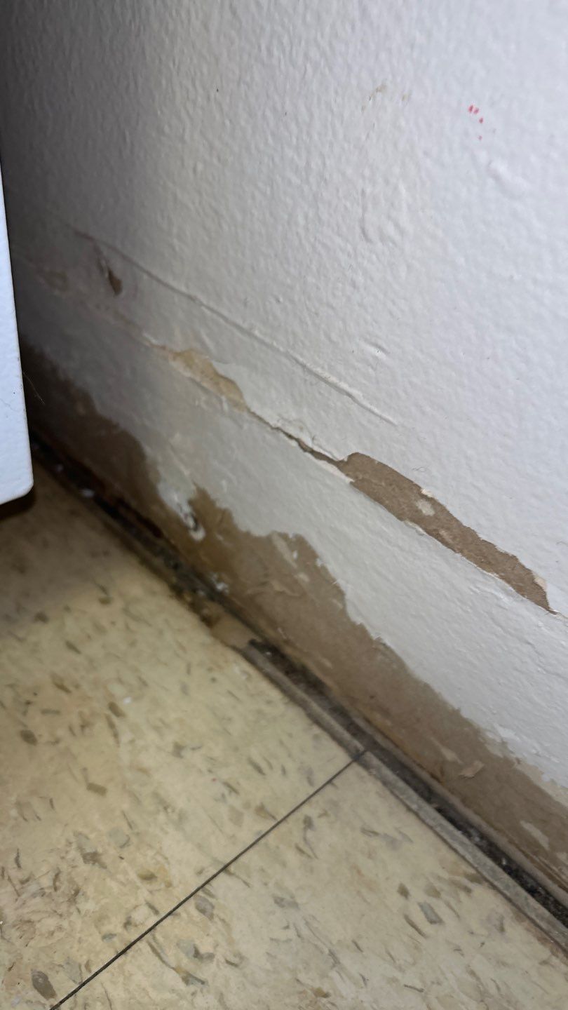 Mold Remediation by Accountable Home Services