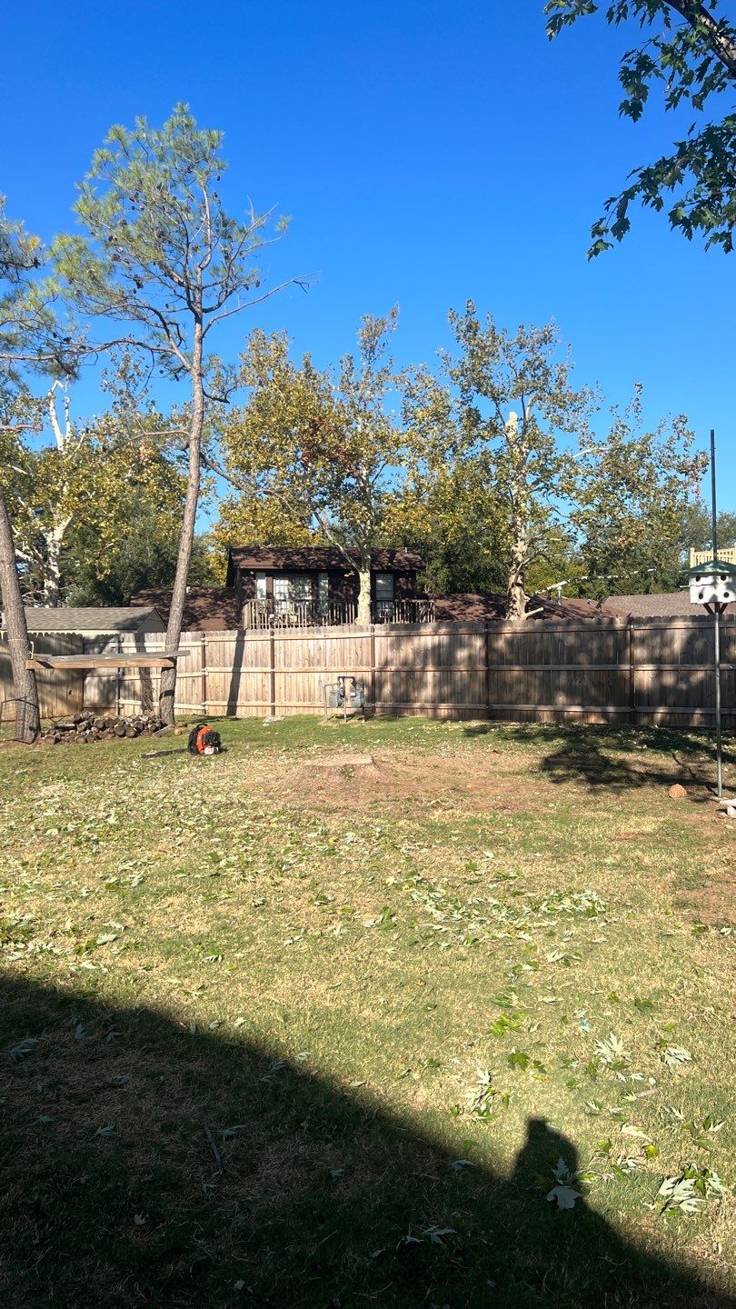 Tree removal , Concrete, Pergola, and sod install  by Clays Services Inc