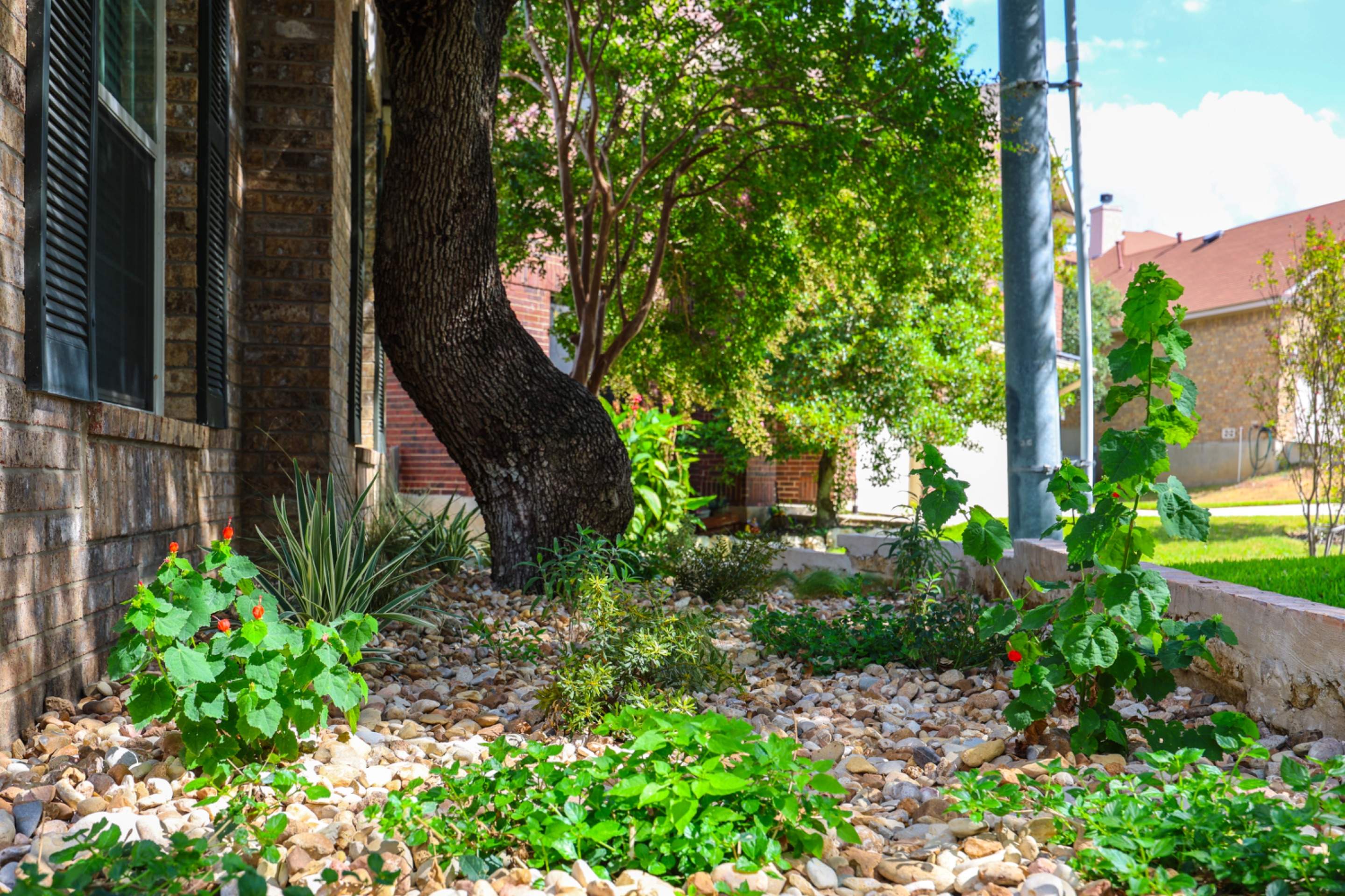 Stone Oak - San Antonio, TX by Hole In One Lawns, LLC