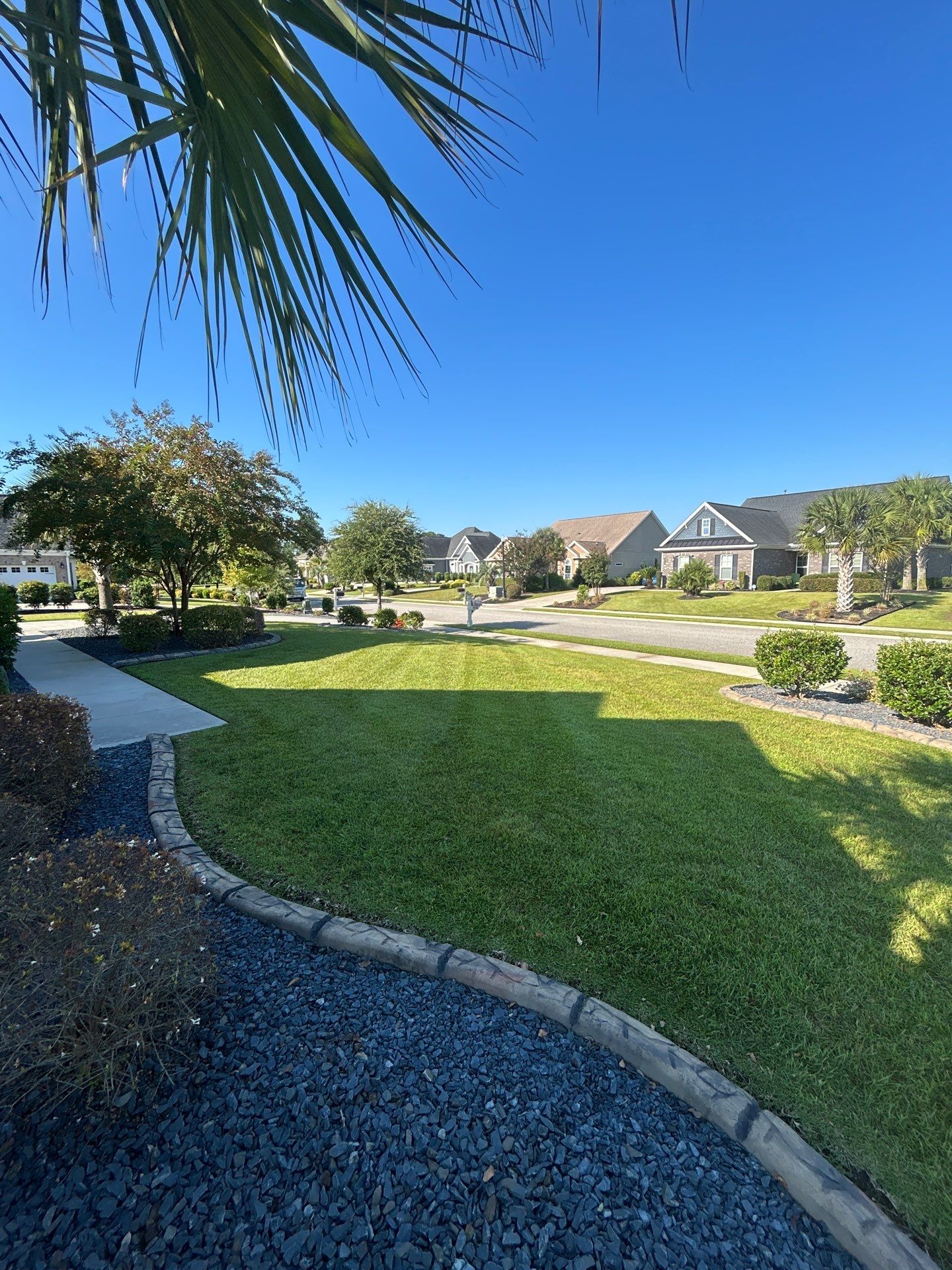 Mow-Mentum Lawn Care Services LLC featured photo.