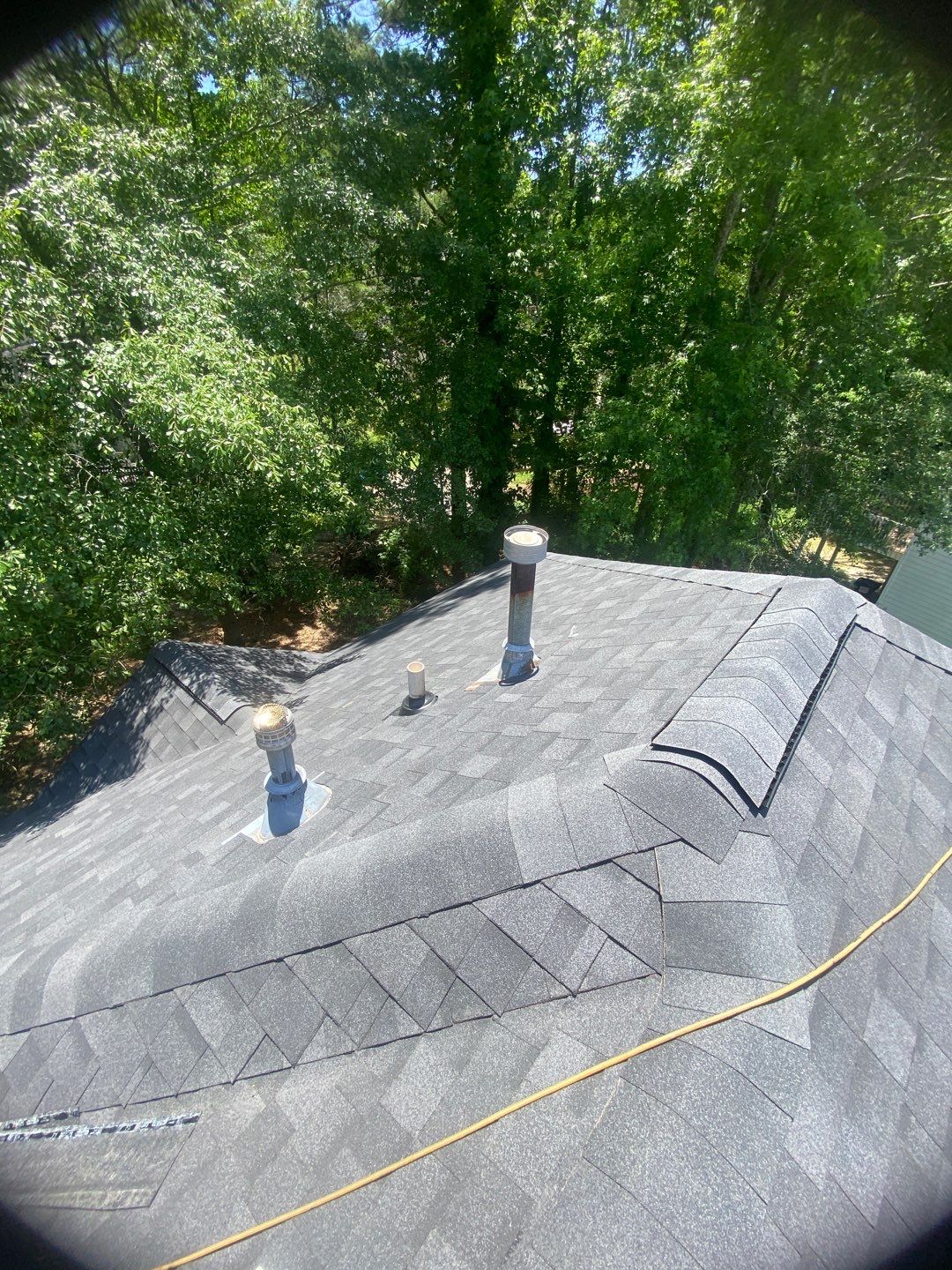 Rotten Wood by Roof Bullies