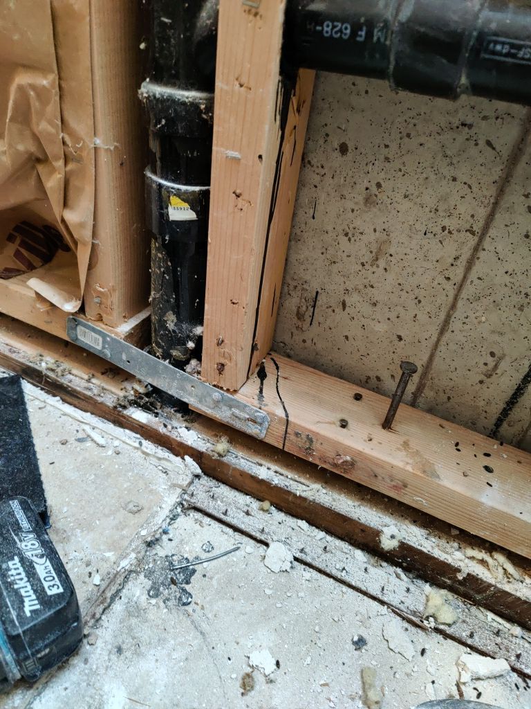 Mold Remediation by Accountable Home Services