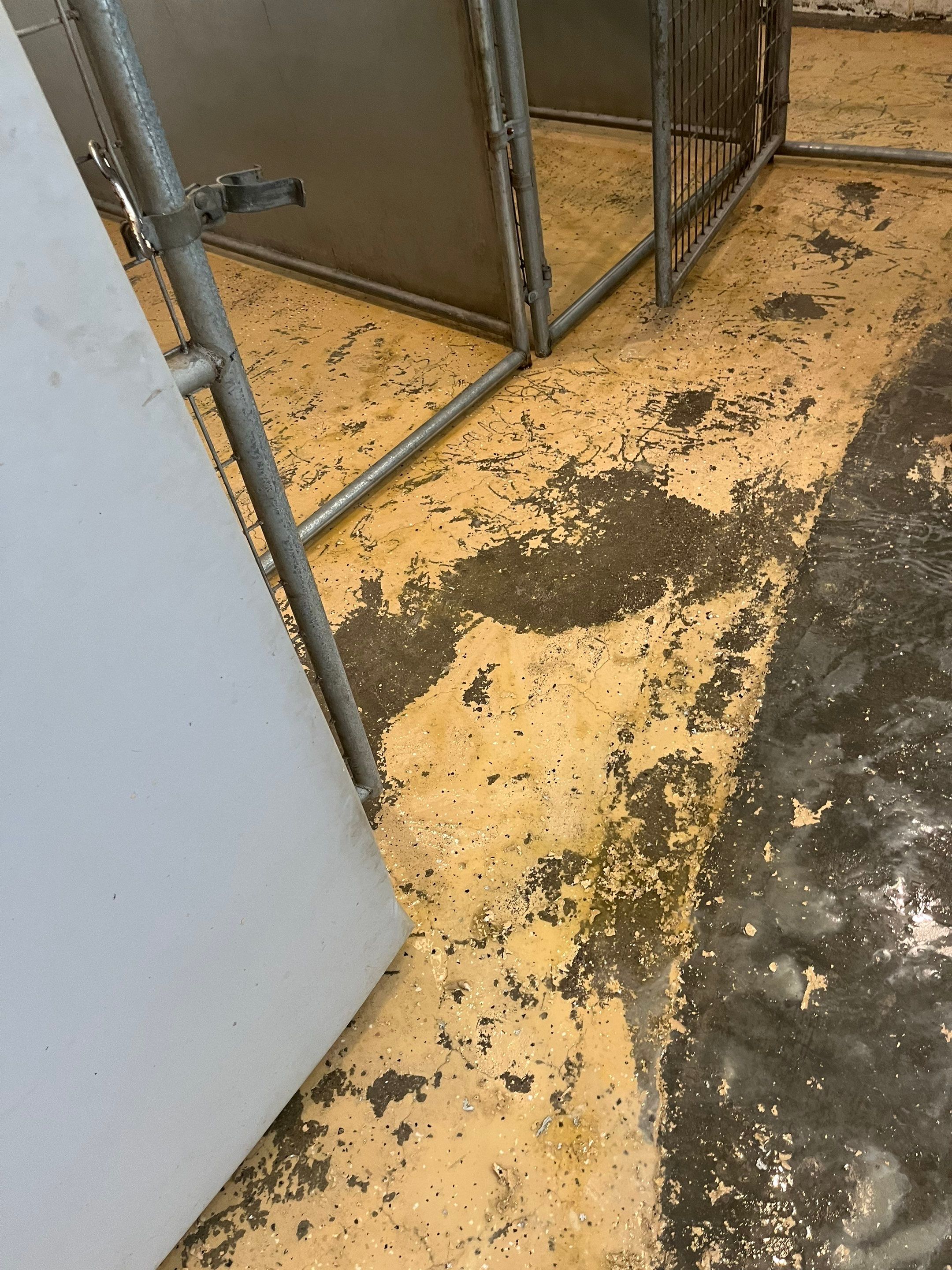 Durable Commercial Concrete Coatings for Brandon Valley Veterinary Clinic by Select Painting, Coatings & Garage Cabinets