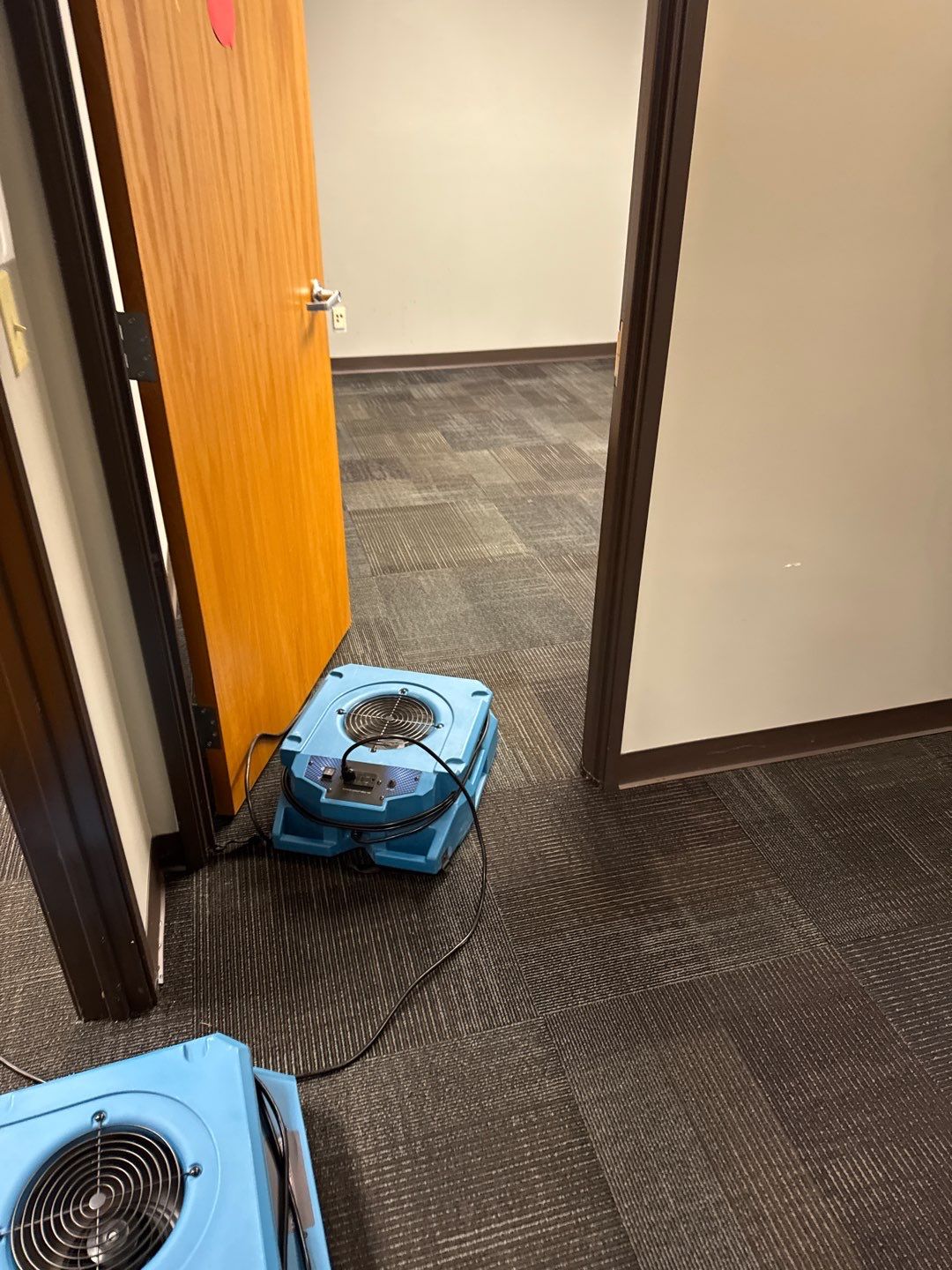 Project in Warren by EzDry Water Mitigation & Property Restoration