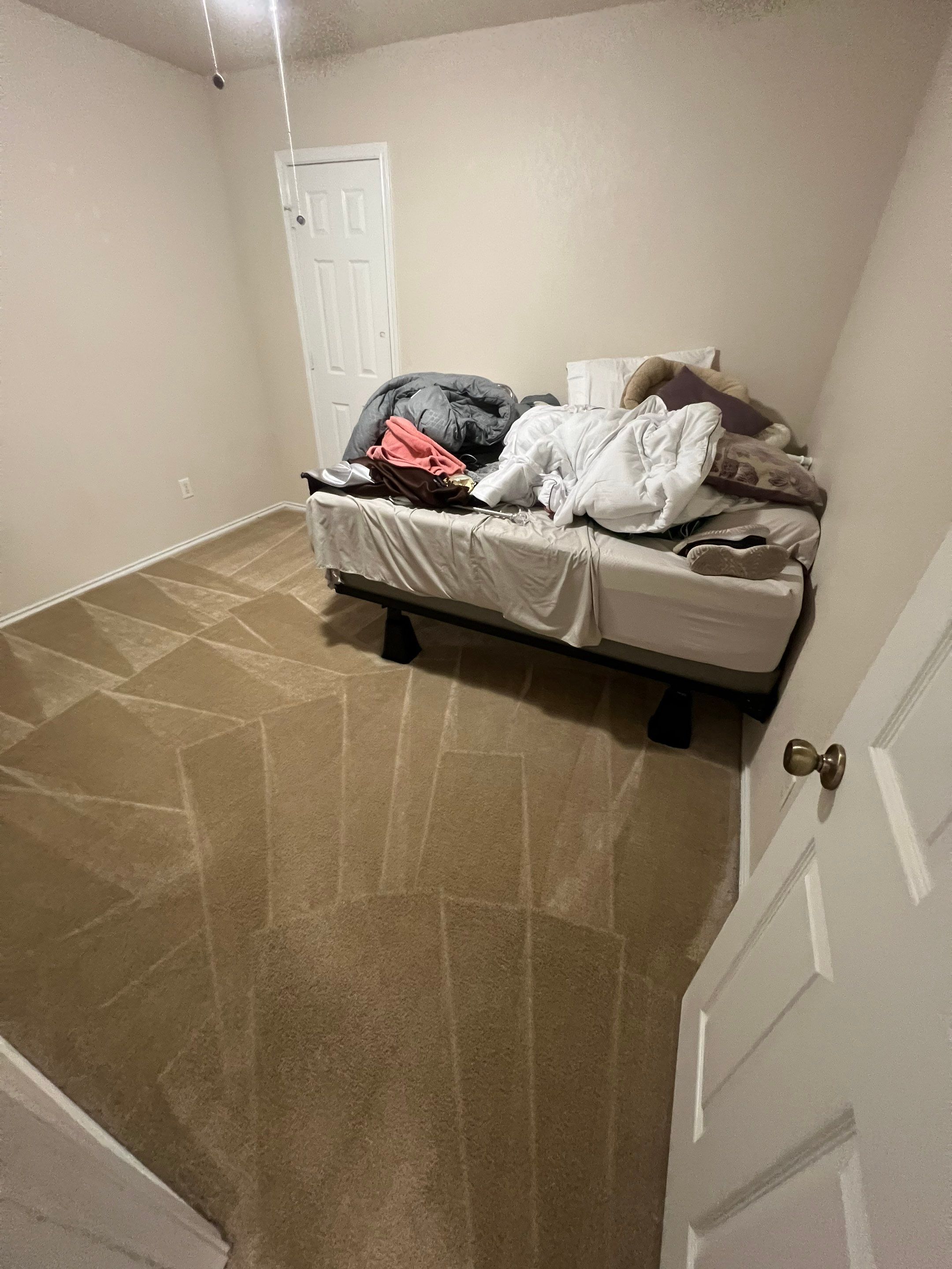 the service involves cleaning the carpet in a bedroom removing dirt and stains for a refreshed appearance