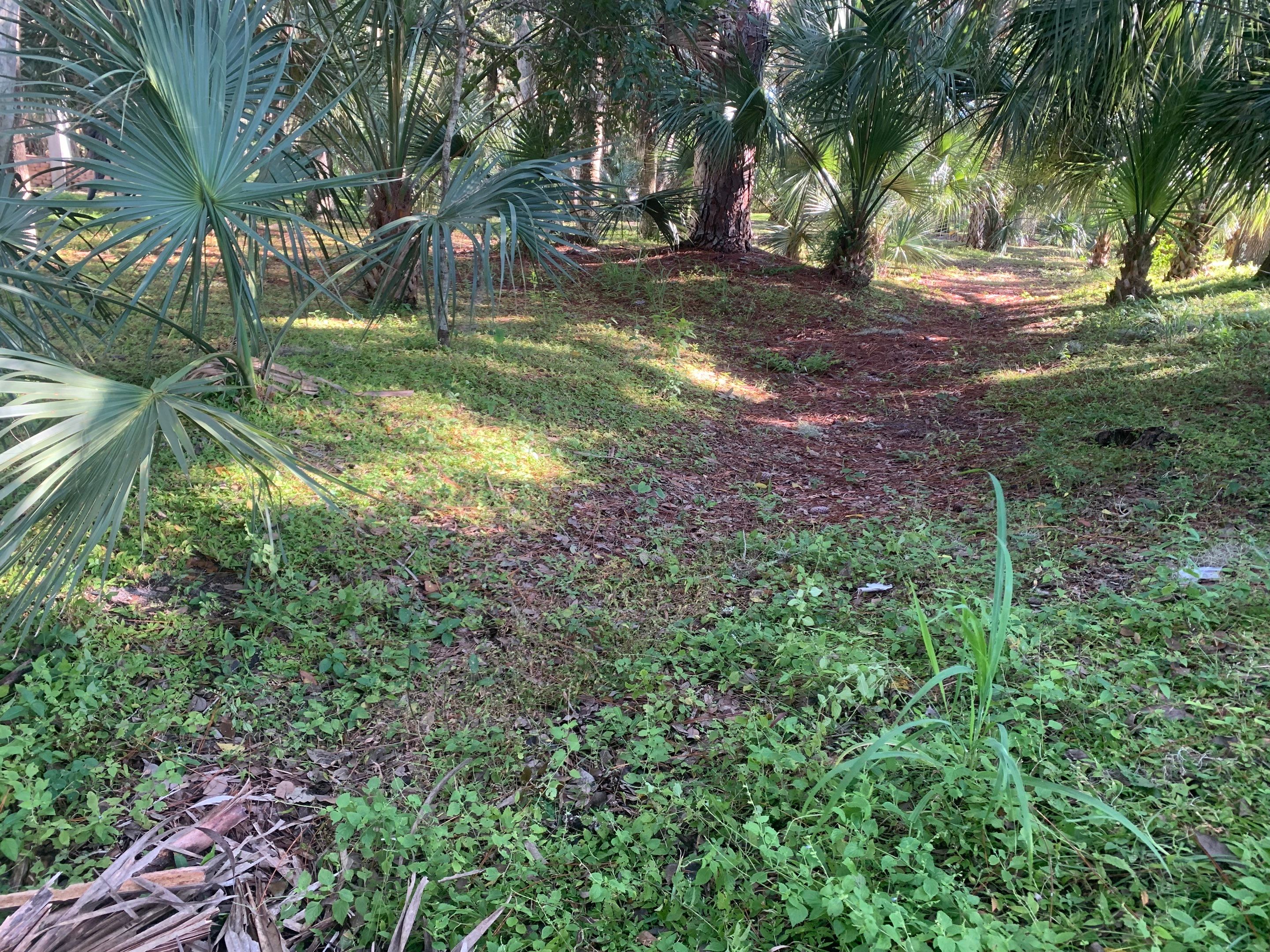 Sarasota, FL 4ft. Tall 3-Rail Aluminum Fence by Asap fence and gates, LLC