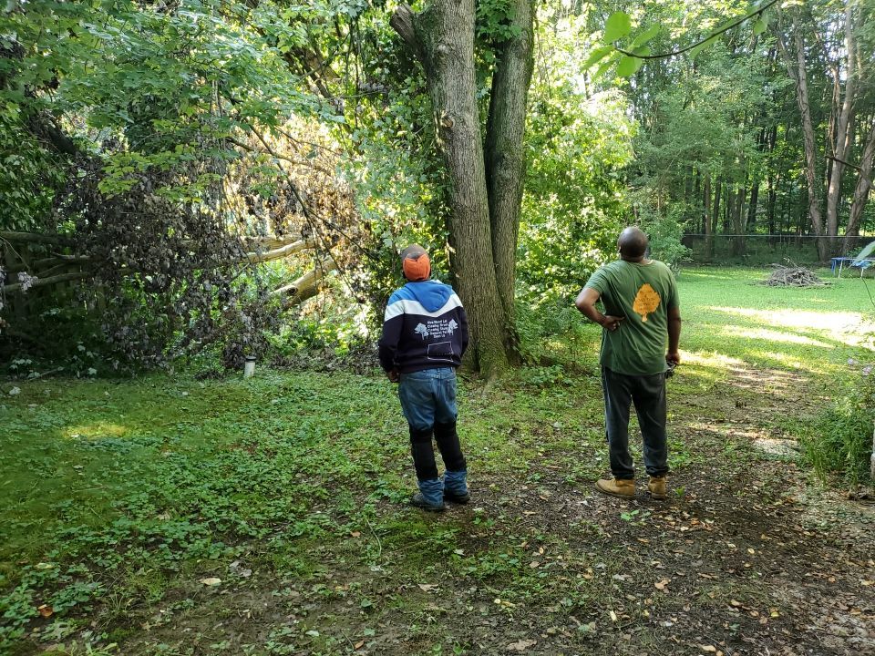 Storm Damaged Tree Removal  by Mike Jones & Sons Tree Service LLC 