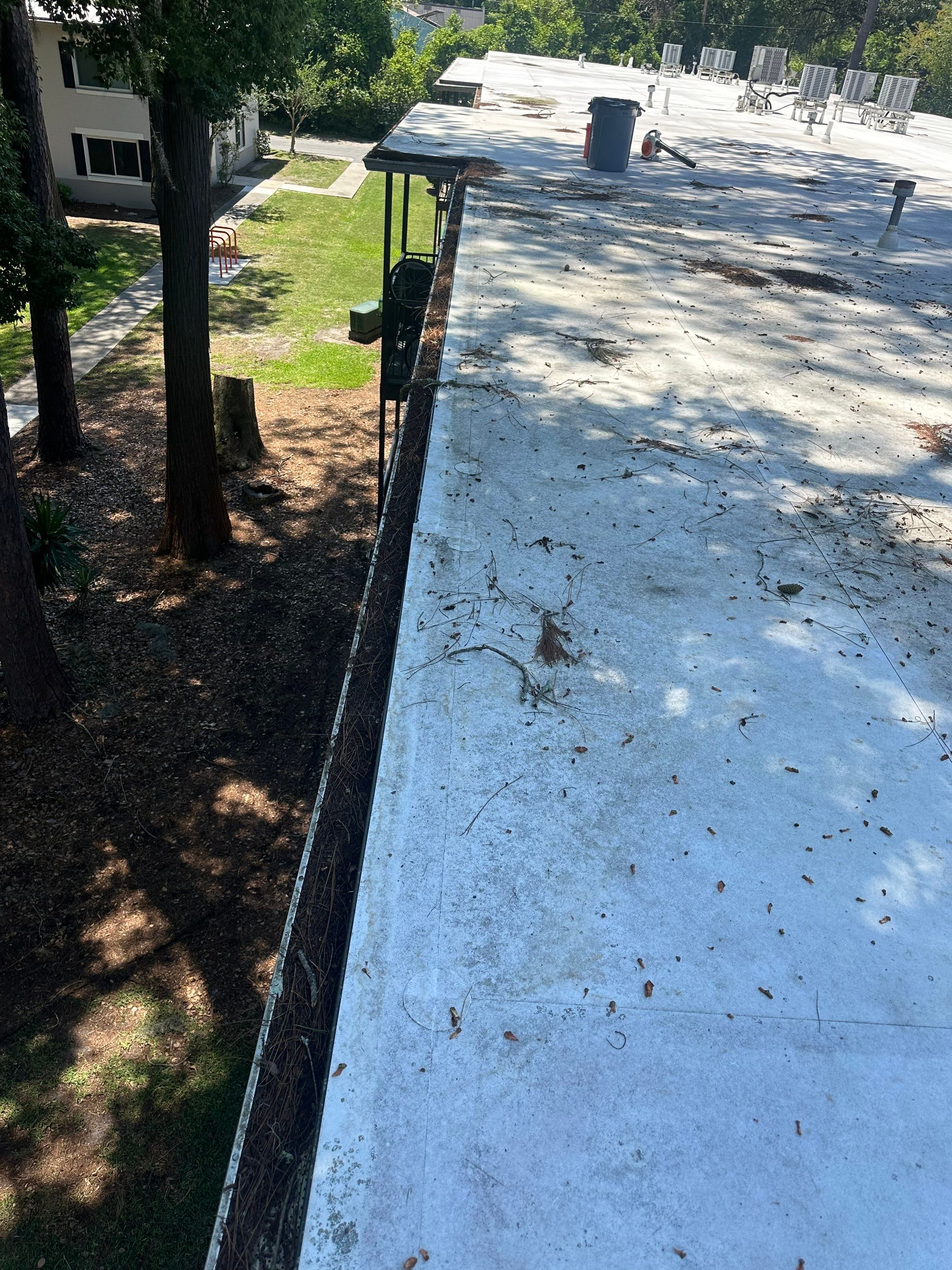Commercial gutter cleaning Gainesville, FL before photo with filled gutters