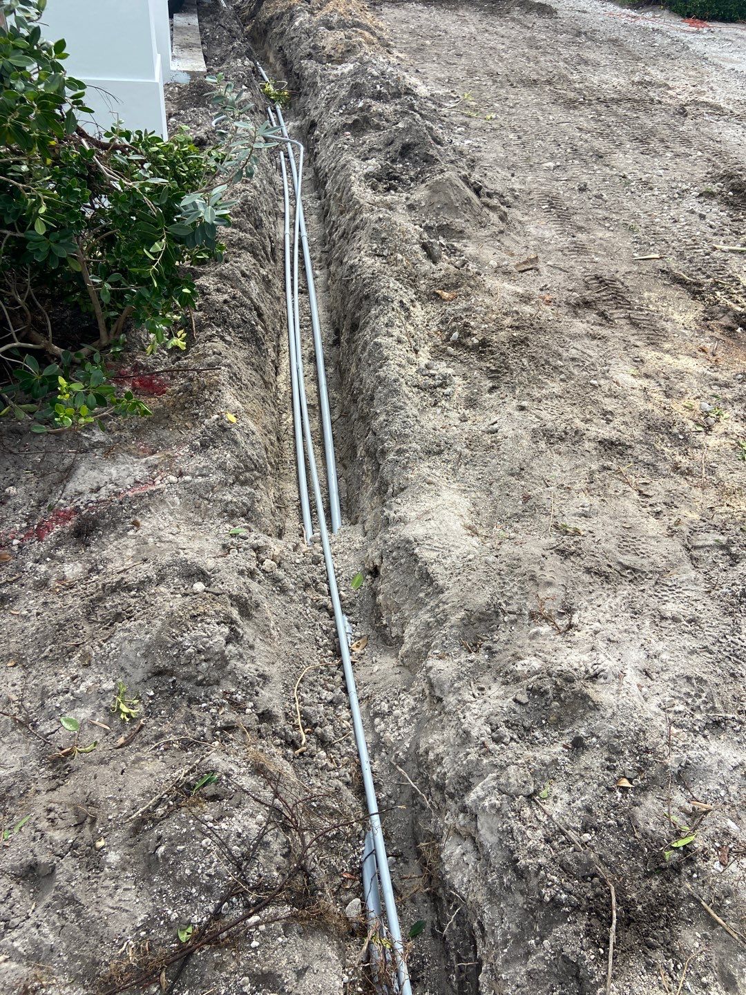 Hazard  by The Landscaping People