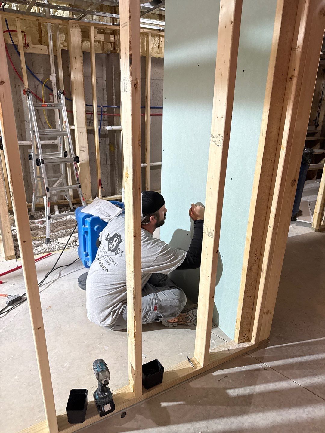 Basement Finishing Project with Home Gym and Sauna in Prospect by Authentic Carpentry