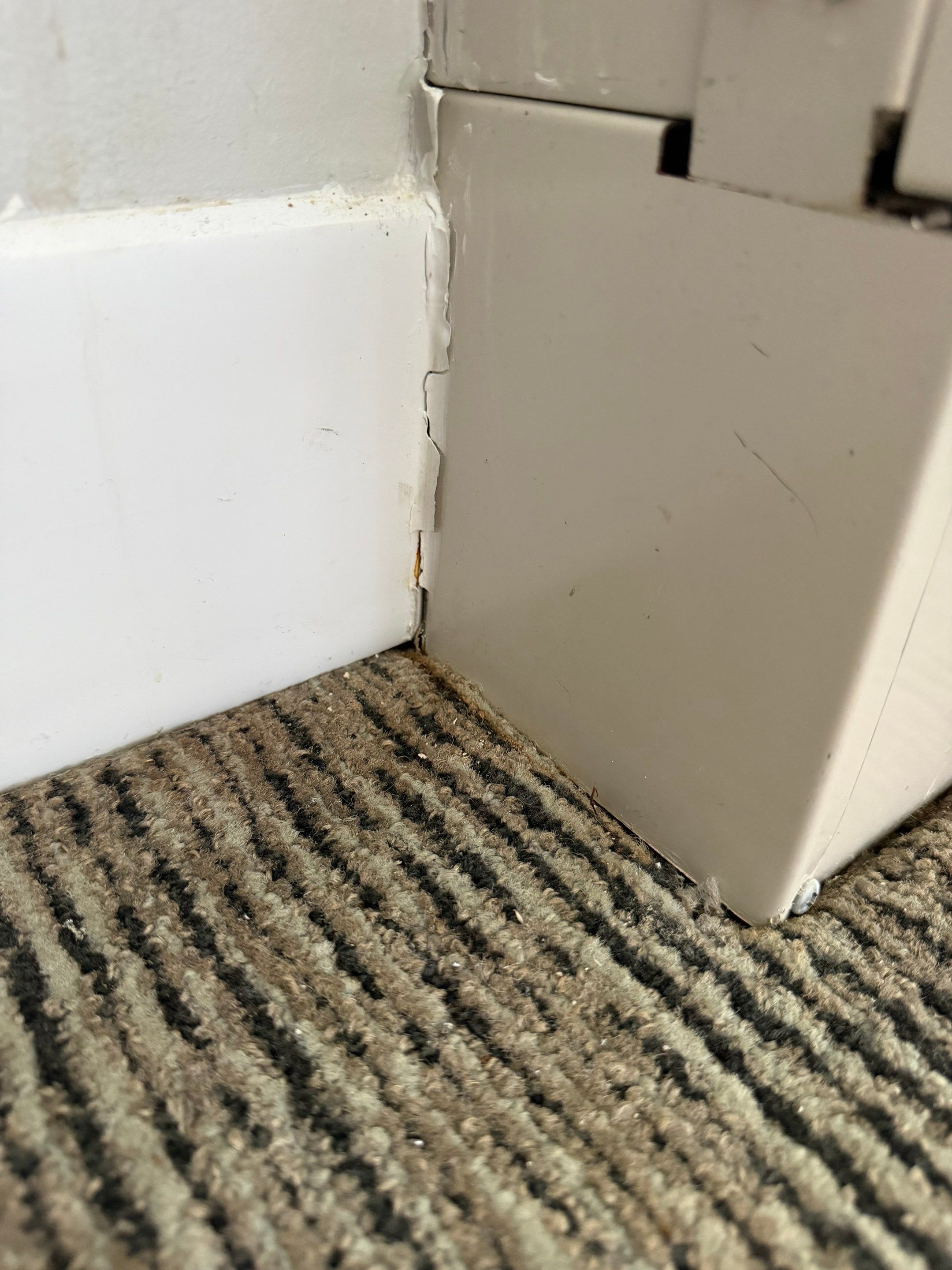 Project in Fort Myers, Florida by Leak Inspector