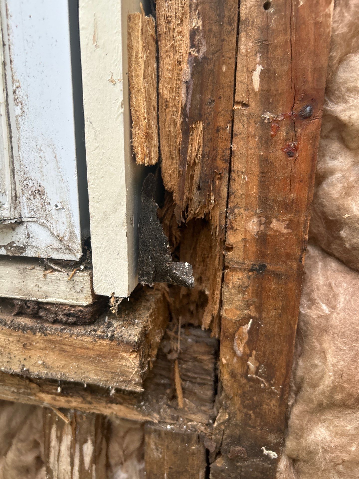 James Hardie Plank Replacement - Five Points by Freedom Exteriors 