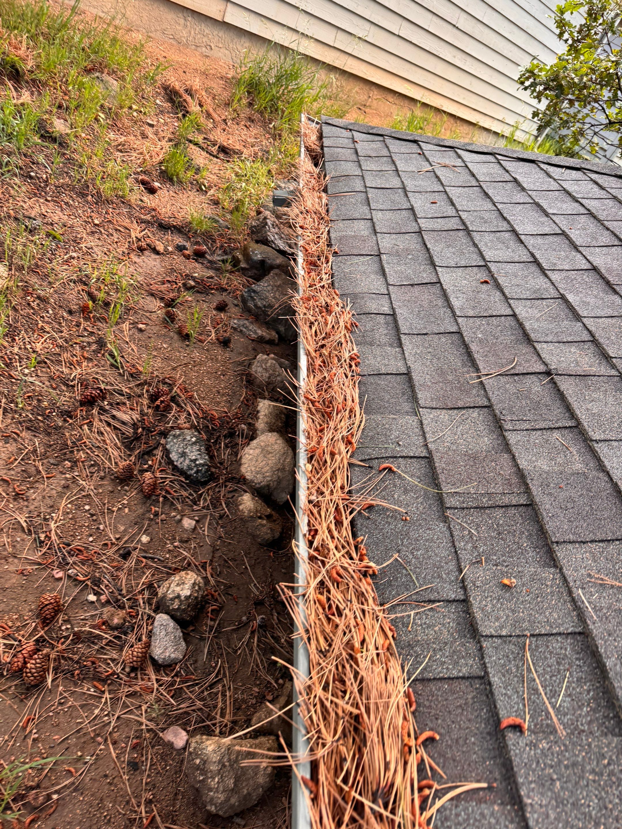 Commercial gutter cleaning Colorado Springs, CO before photo with filled gutters