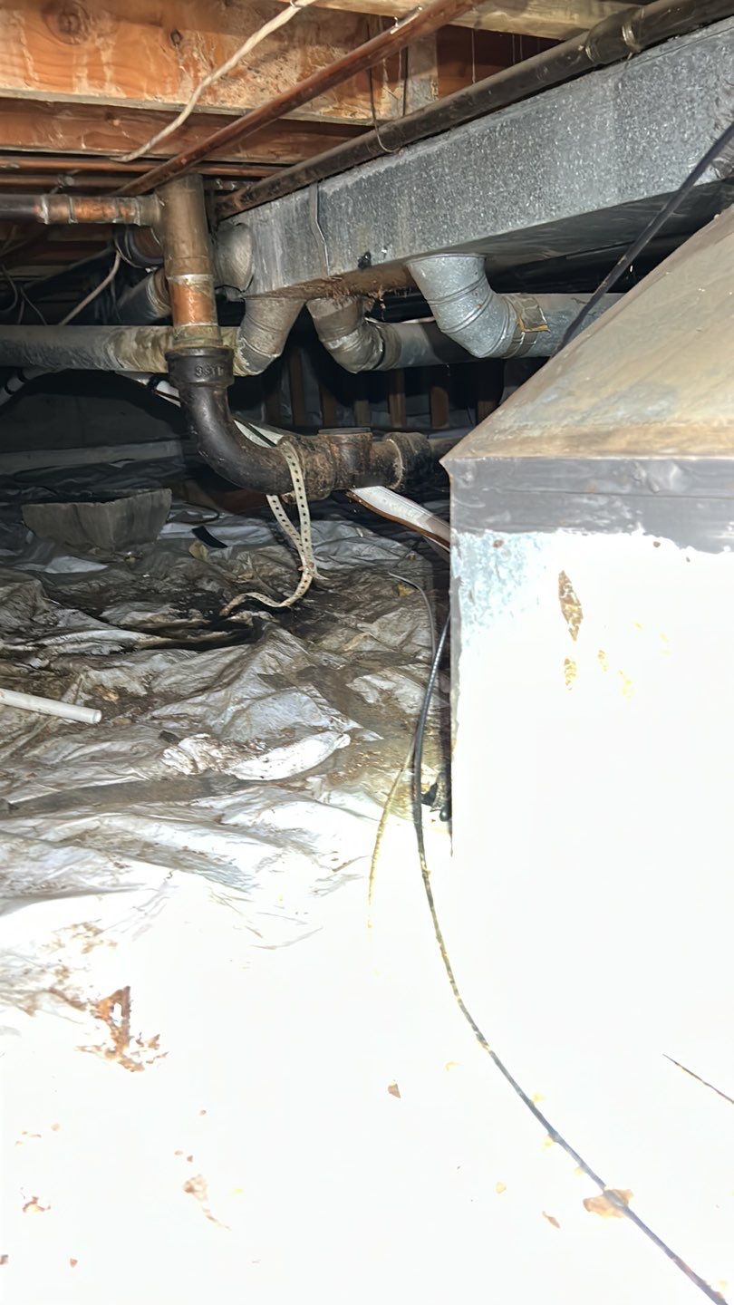 Sewage Backup by Accountable Home Services