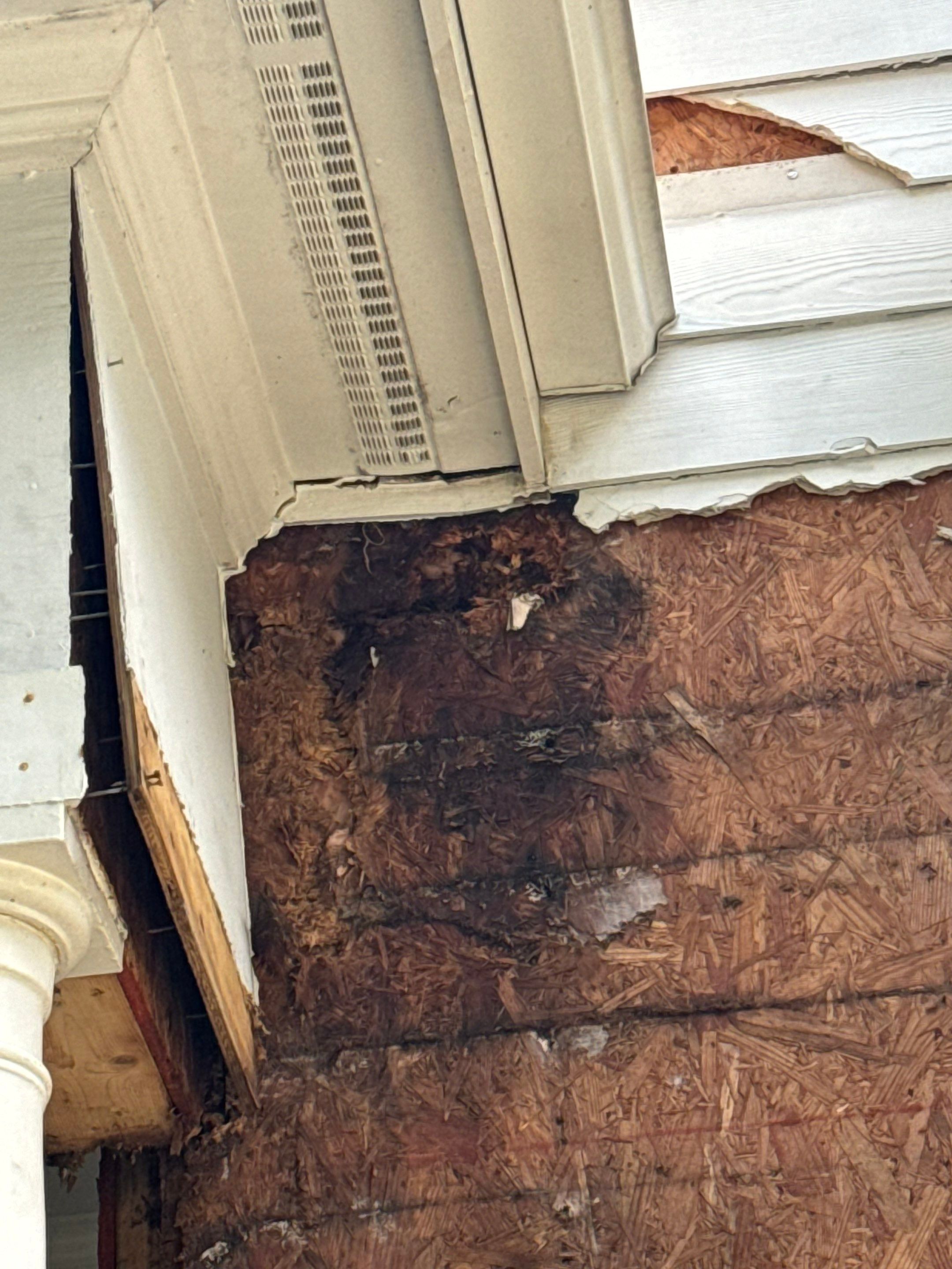 Exterior Transformation by GonzalezPainters & Contractors Inc 