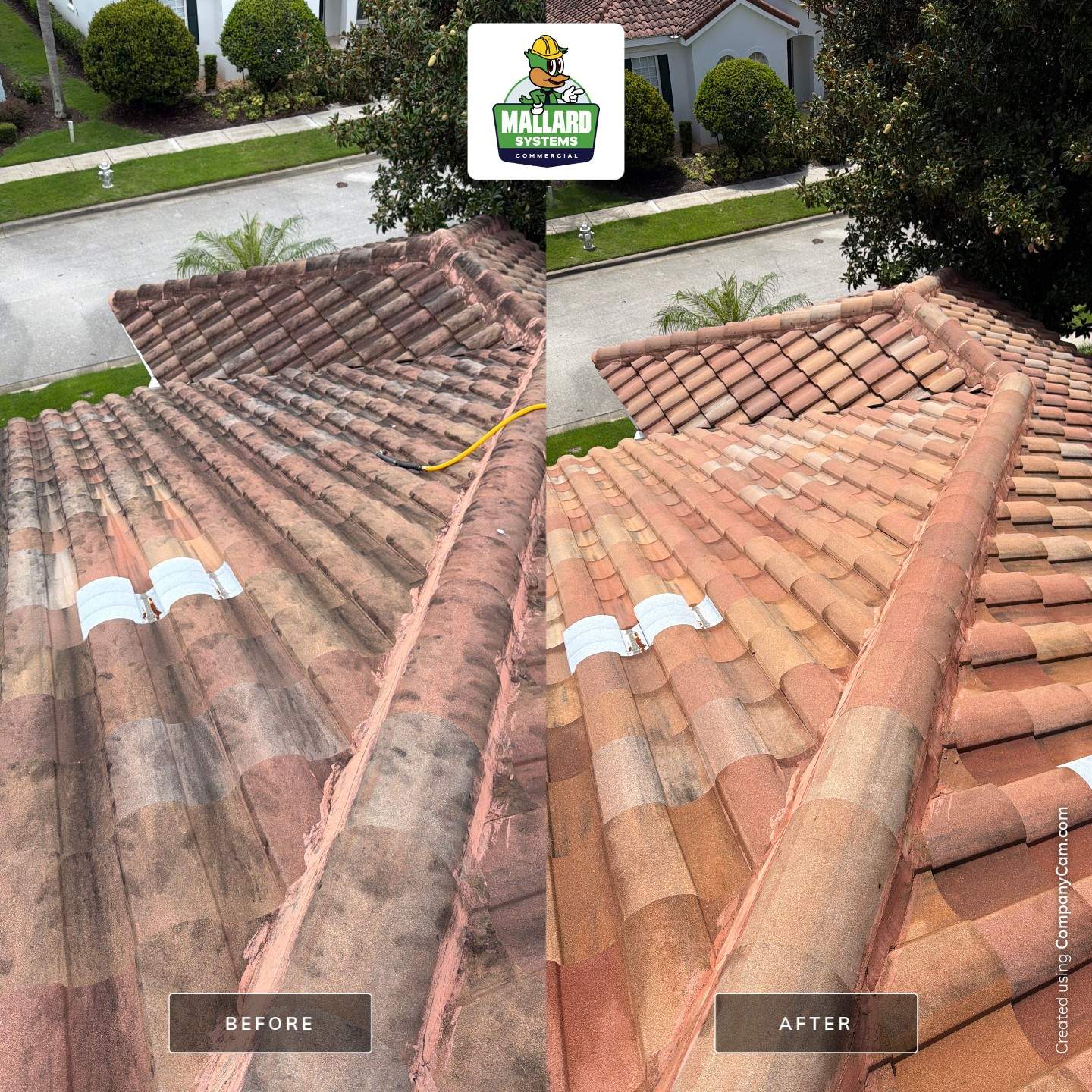 Residential Roof Cleaning in Kissimmee by Mallard Systems
