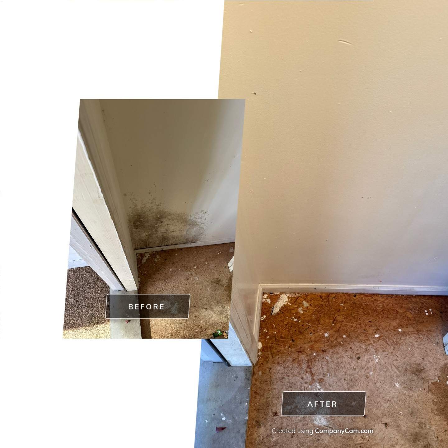 Punch List Project using Vinyl Flooring by A1 NERDY HOMES LLC