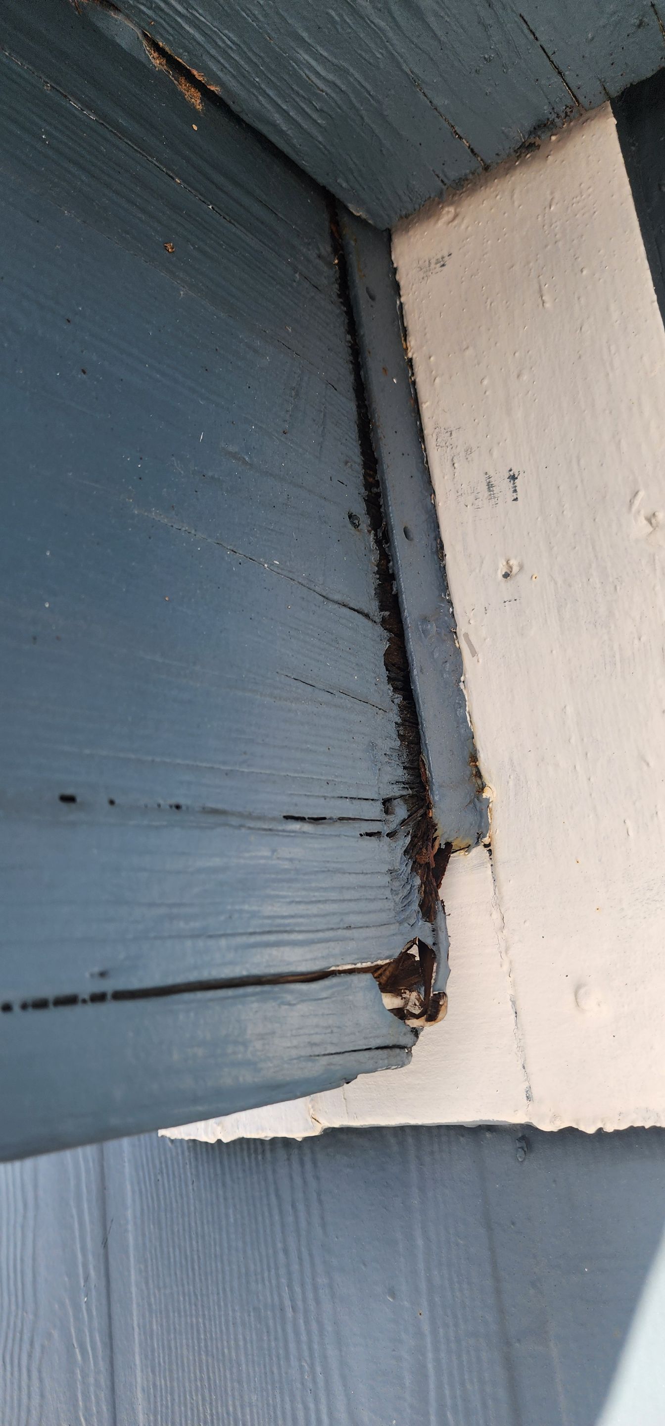 Project in Punta Gorda by Serene Construction