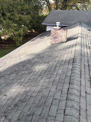 Project in Lynden