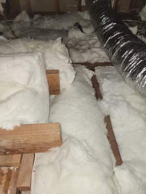 Project in Los Angeles