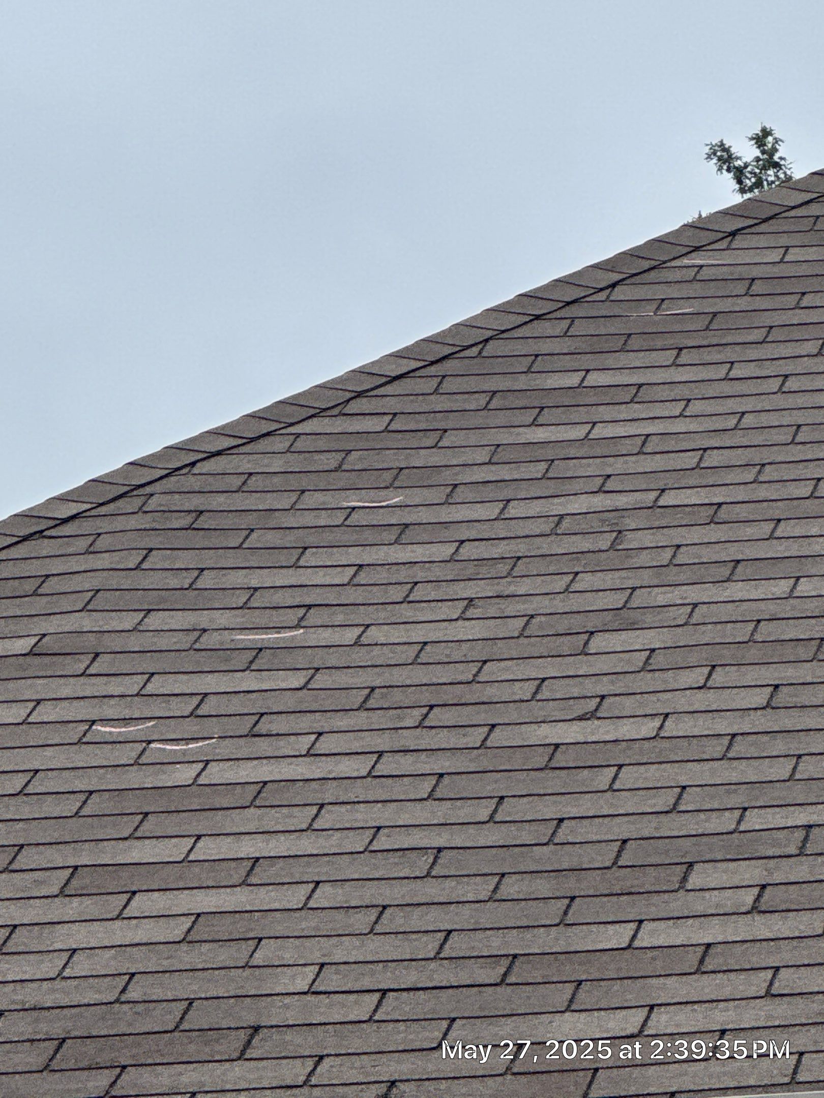 Roughneck Roofing featured photo.