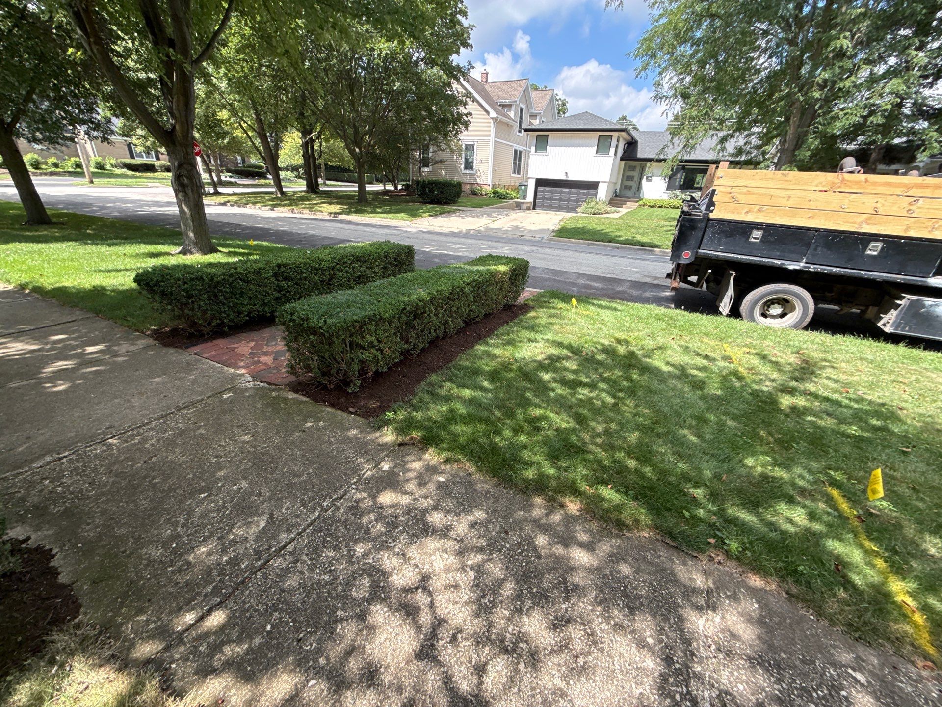 Jason G. - Arlington Heights, IL by A&N