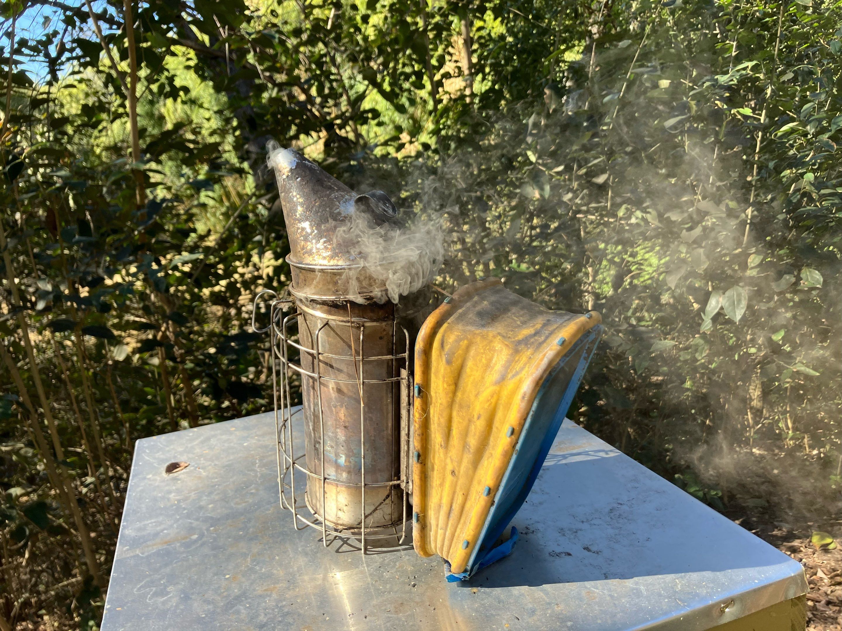 Lakewood Apiary by White Rock Lake- another Ag. Exempt Property by Rockwall Honey Bee Company