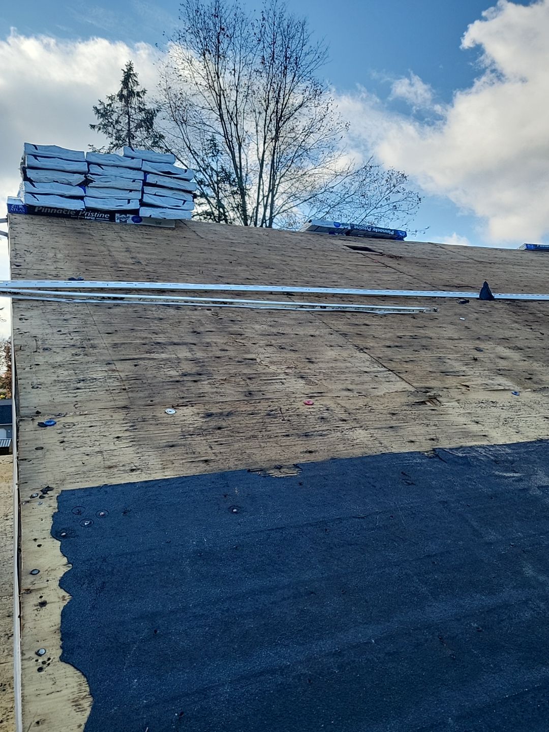 ATLAS PINNACLE COLOR: BLACK SHADOW DRIP EDGE: BLACK by Eagle Eye Roofing