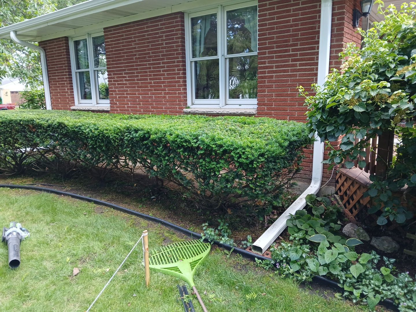 Al K. - Arlington Heights, IL by A&N