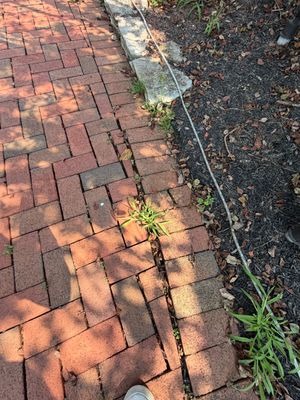 Window Cleaning in Montgomery, NJ — Gallo Bros job photo