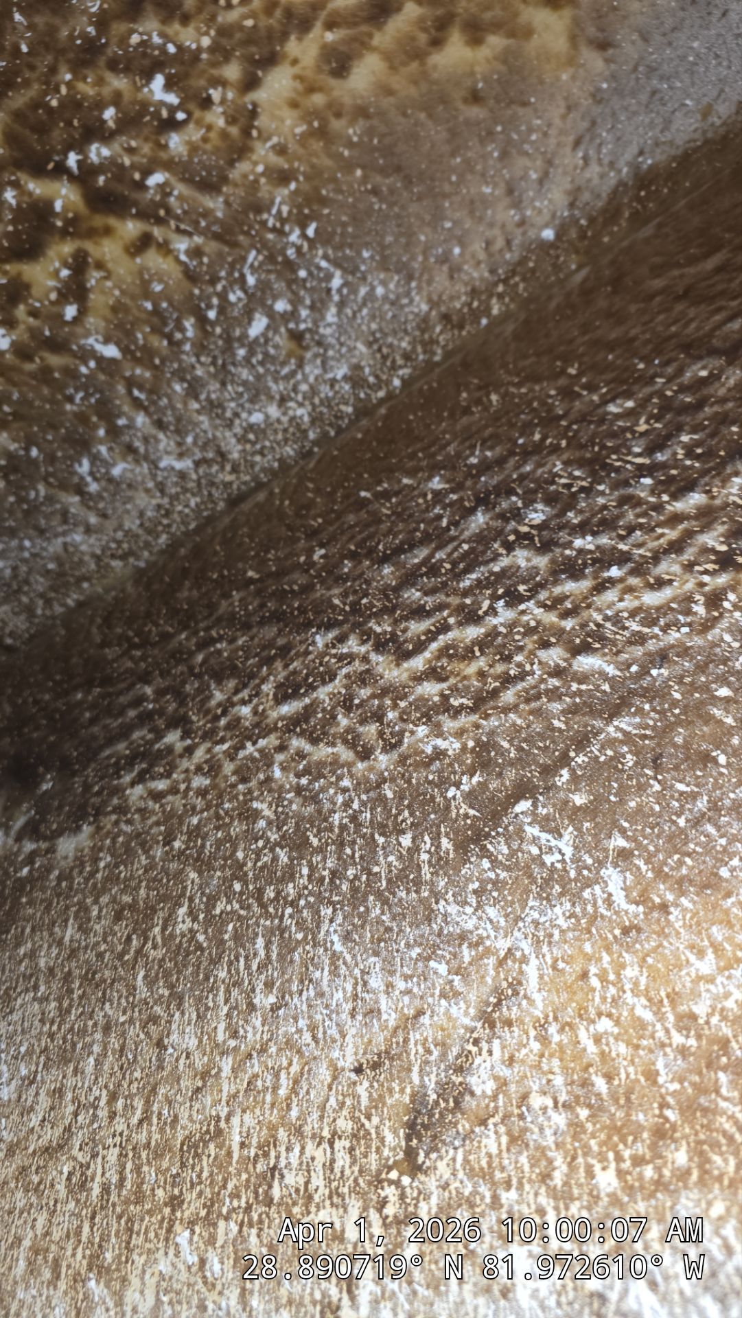 Air Duct Cleaning in The Villages by Hygienic Air, Inc