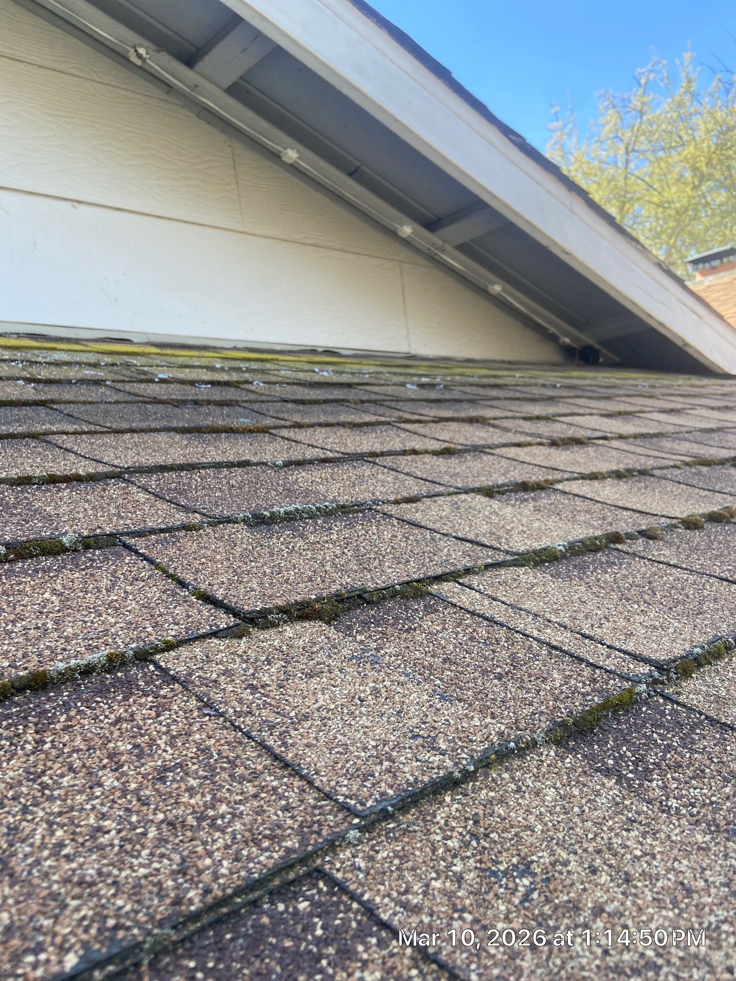 Roof Rejuvenation using Roof Maxx Treatment by Roof Maxx of Folsom