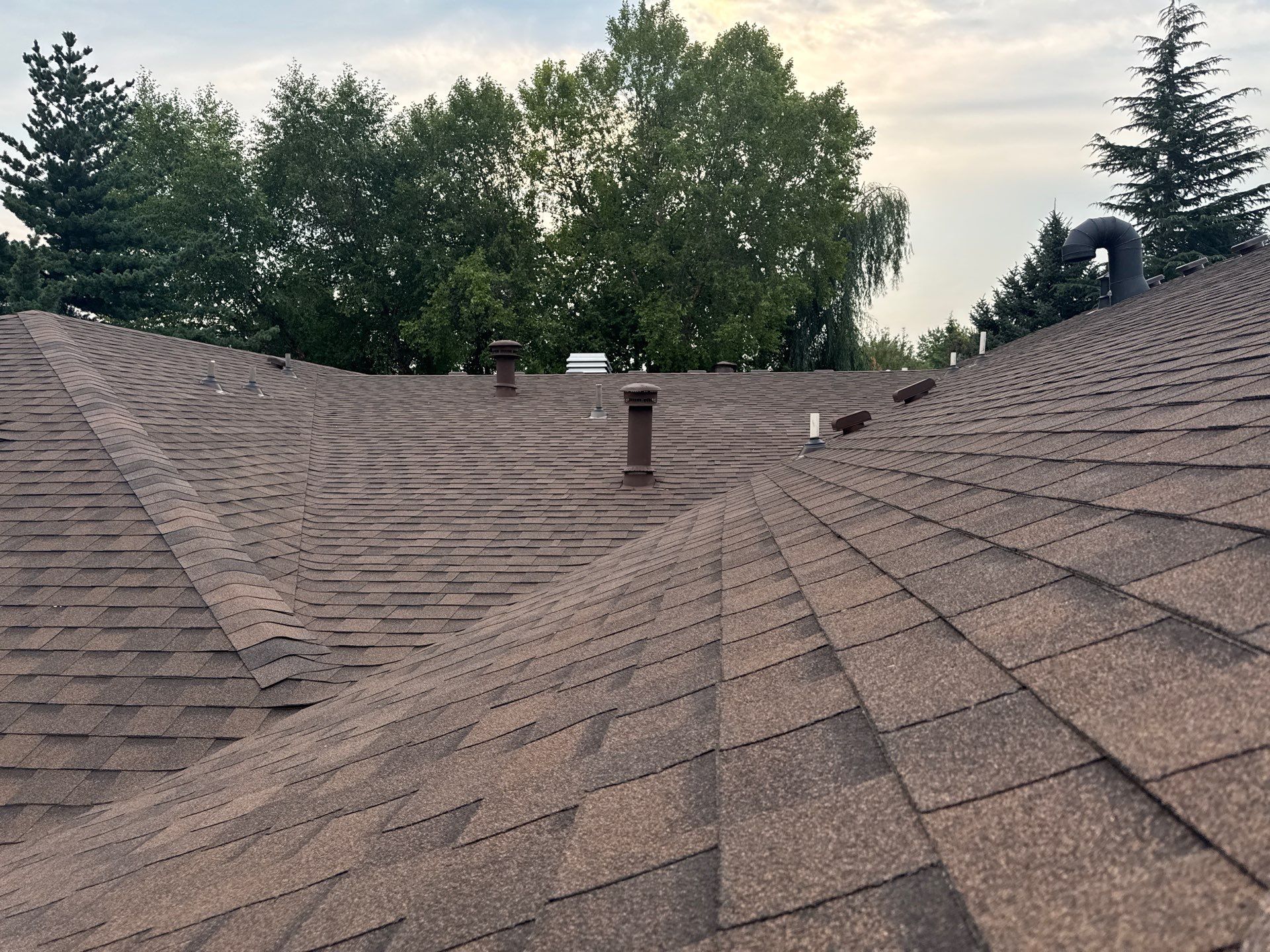 Boise Commercial Roof Replacement with Brown Architectural Shingles by Olive Roofing