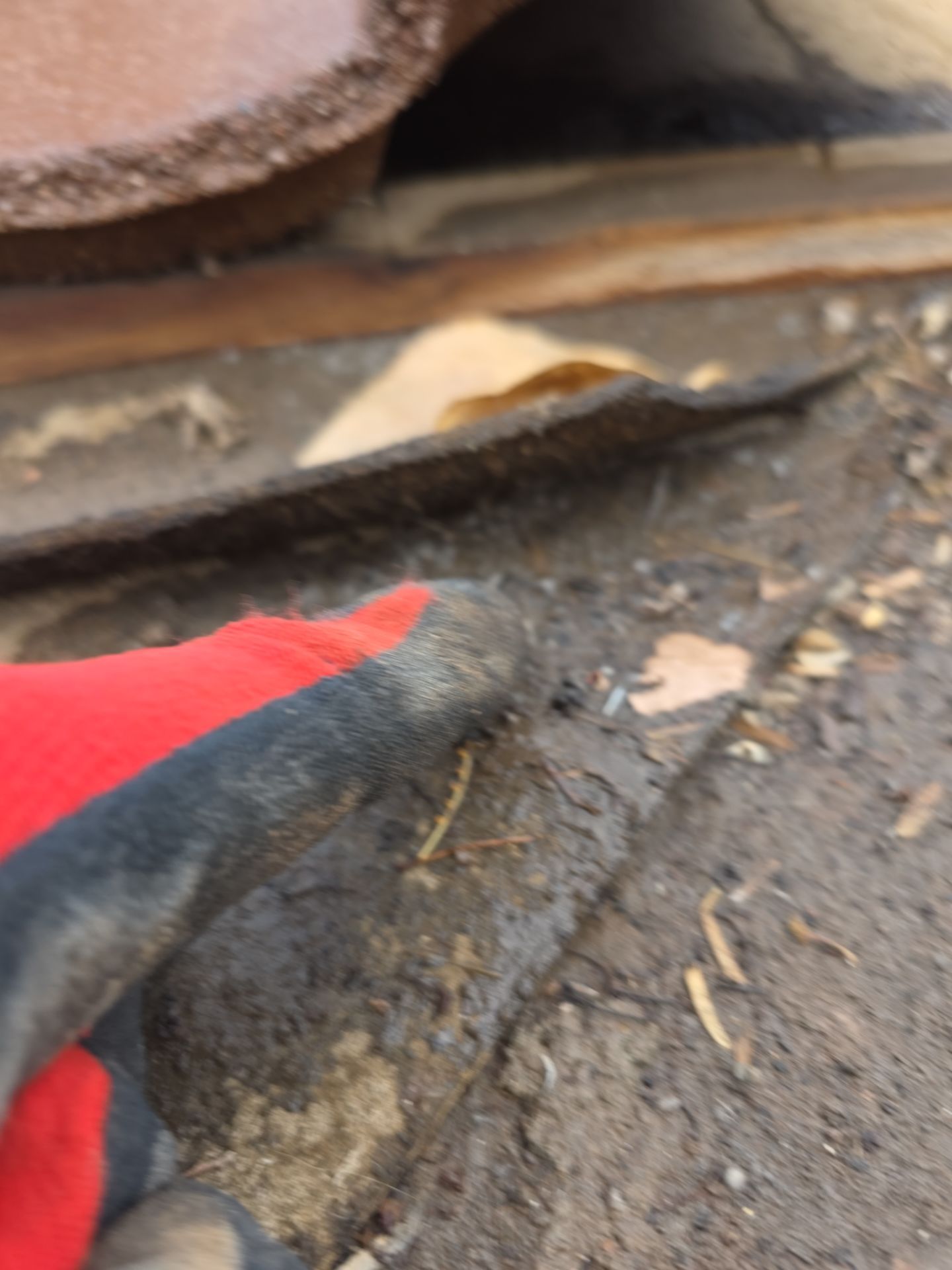 Protect Your Investment: Arizona Roofing Company's Expertise at Work! by Weather-Tite Roofing